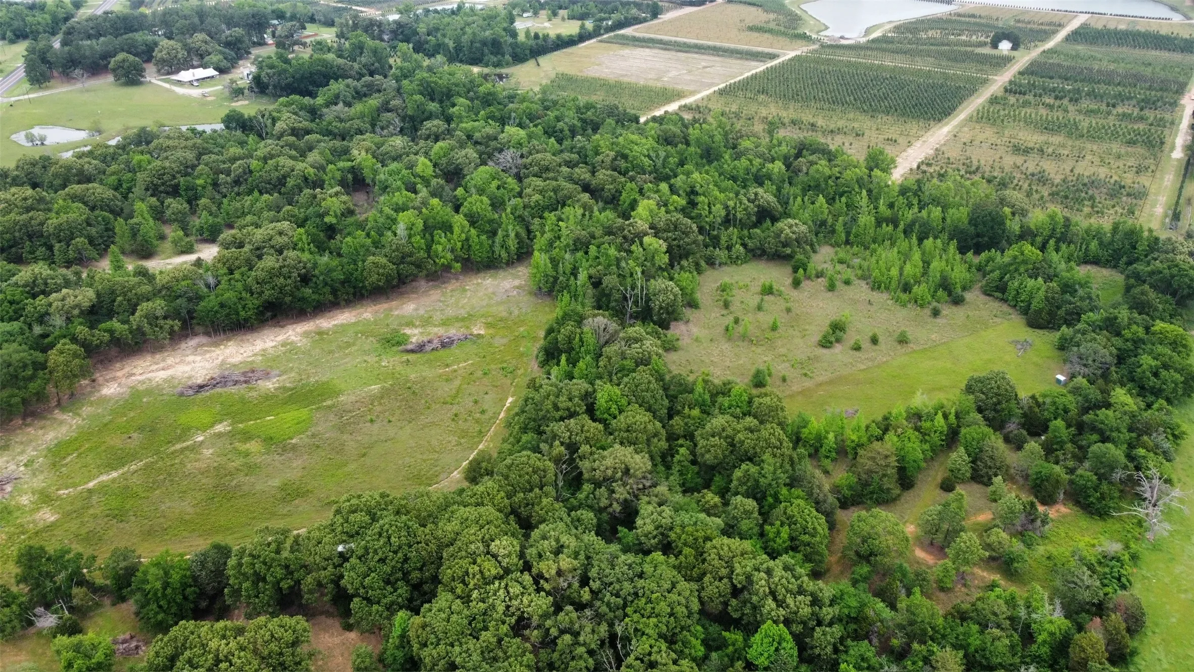 Unimproved Land For Sale in Van Zandt County , 23551 State Highway 19, Canton, Texas 75103, 0, 0, Garage spaces, 0 Sqft, built in 0, mls#21251889, Real Estate Agent in Canton, Homes For Sale in Van Zandt county, Homes For Sale in Canton, Realtor in Canton Texas, Real Estate Brokerage Independent Realty Texas, Luminita Cordes Realtor
