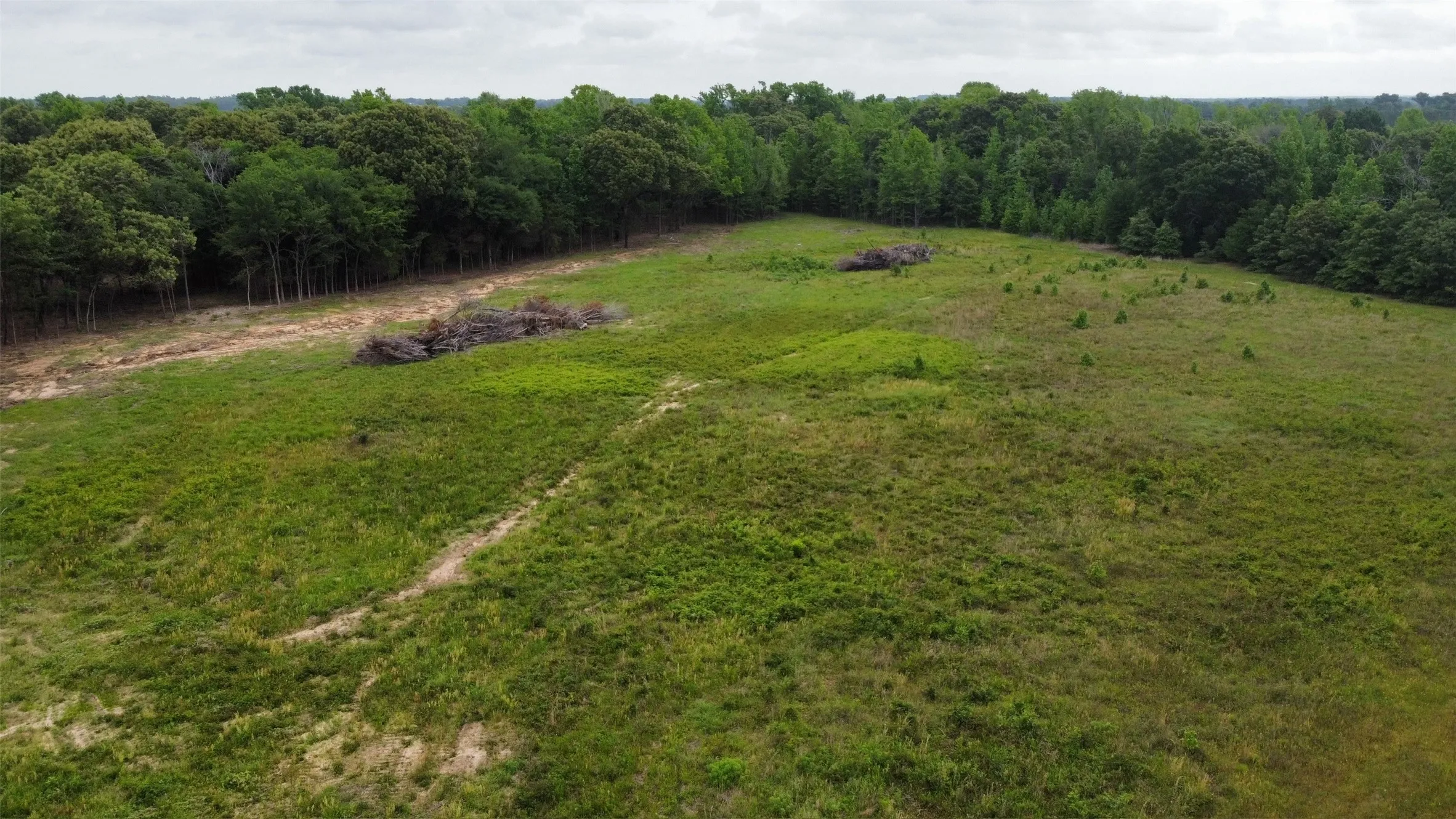 Front meadow