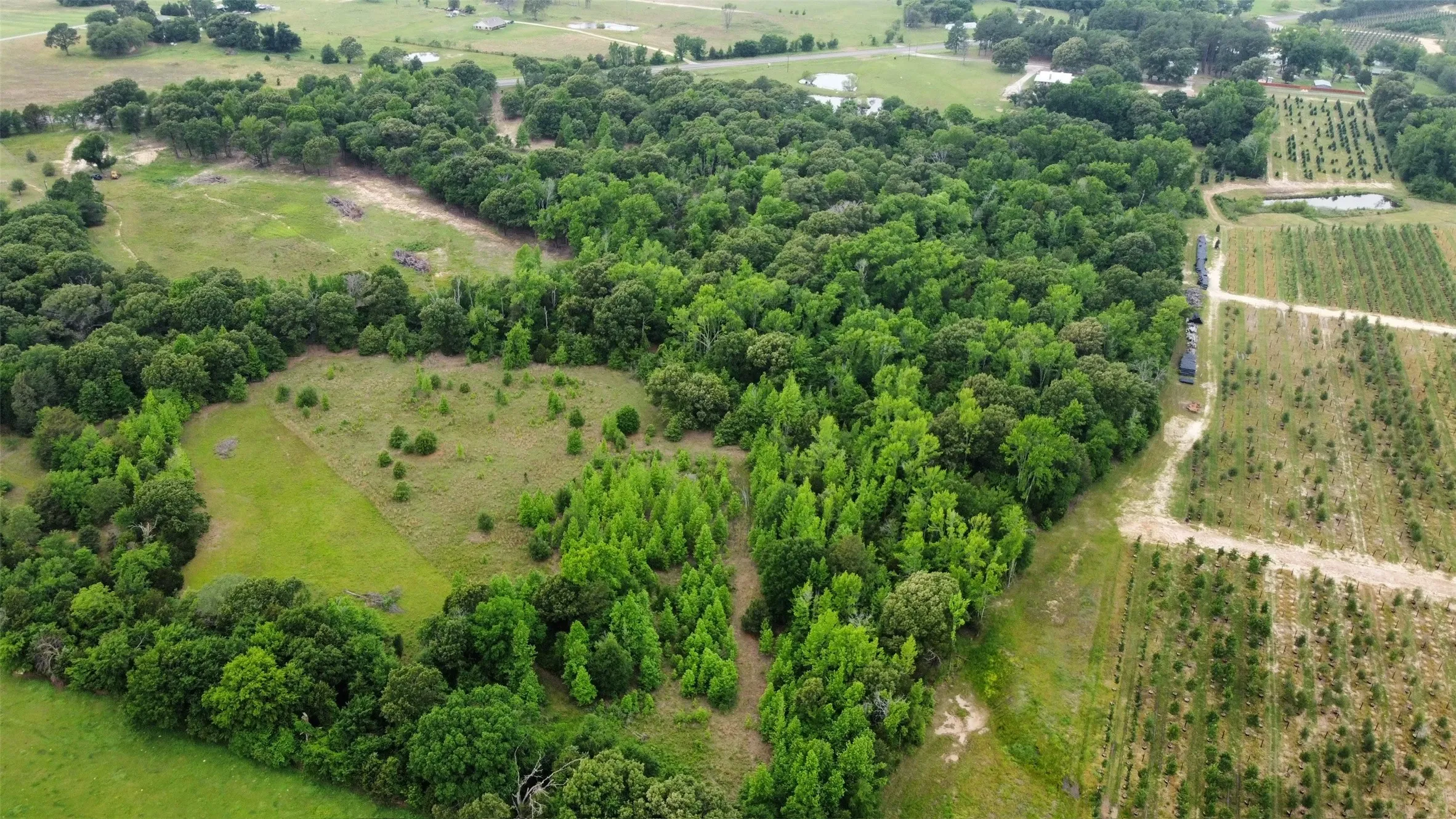 Acreage backs to tree farm.