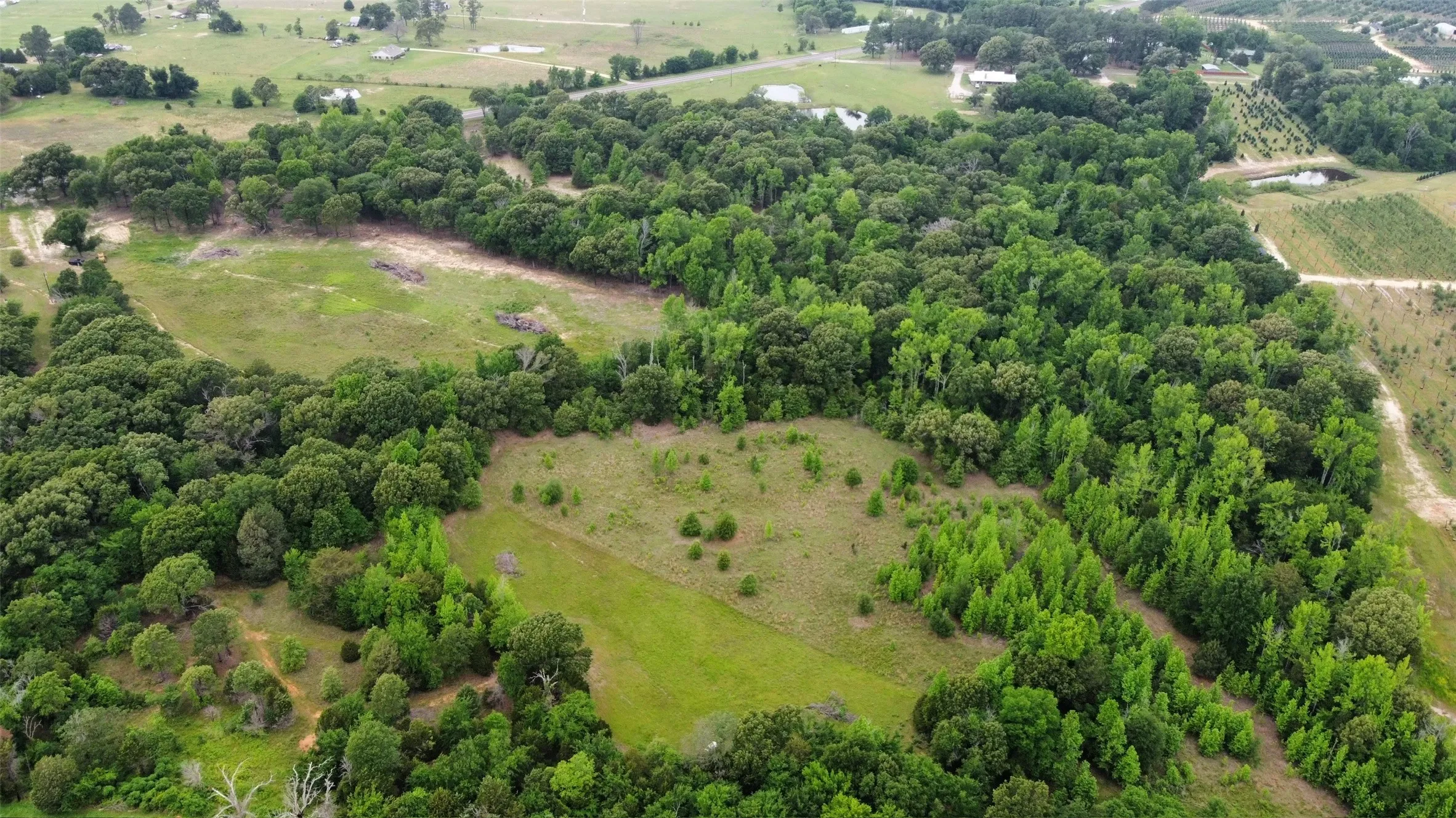 View from backside of land featuring 2 separate pastures. Hwy 19 near top of photo.