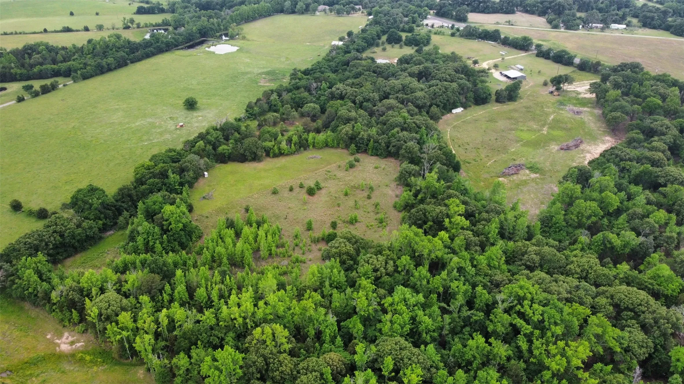 Unimproved Land For Sale in Van Zandt County , 23551 State Highway 19, Canton, Texas 75103, 0, 0, Garage spaces, 0 Sqft, built in 0, mls#21251889, Real Estate Agent in Canton, Homes For Sale in Van Zandt county, Homes For Sale in Canton, Realtor in Canton Texas, Real Estate Brokerage Independent Realty Texas, Luminita Cordes Realtor