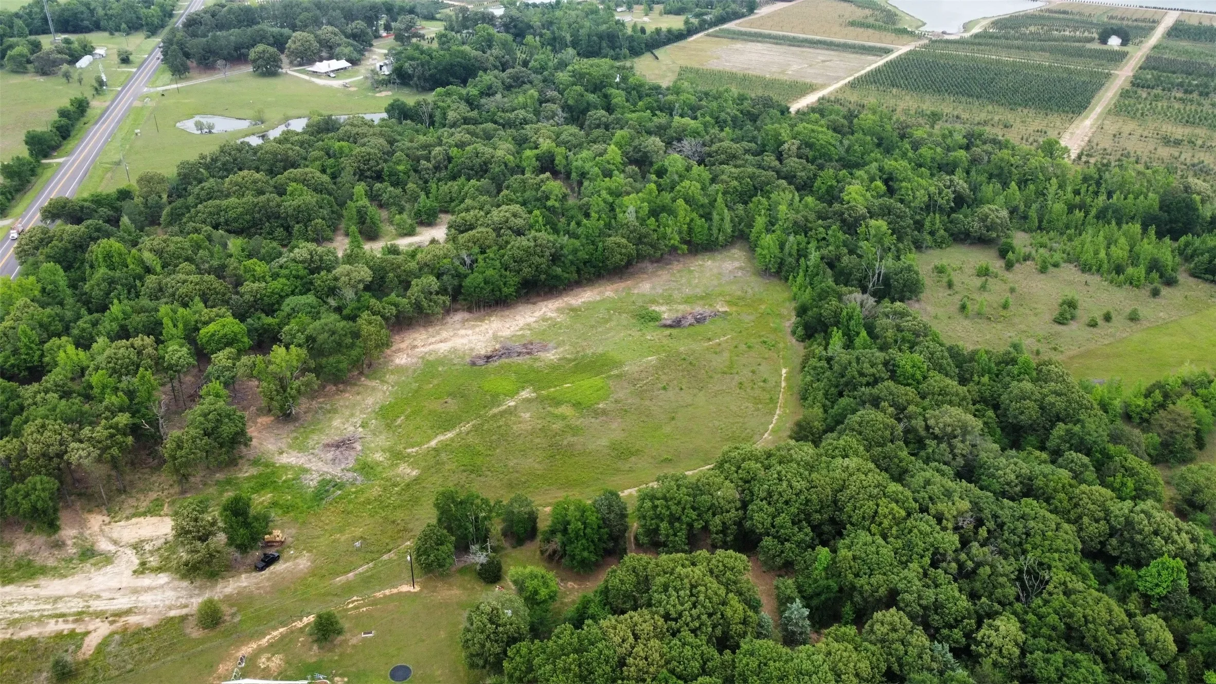 Hwy 19 on left of photo. Treeline buffer between Hwy 19 and 1st meadow (center) and 2nd meadow on right.