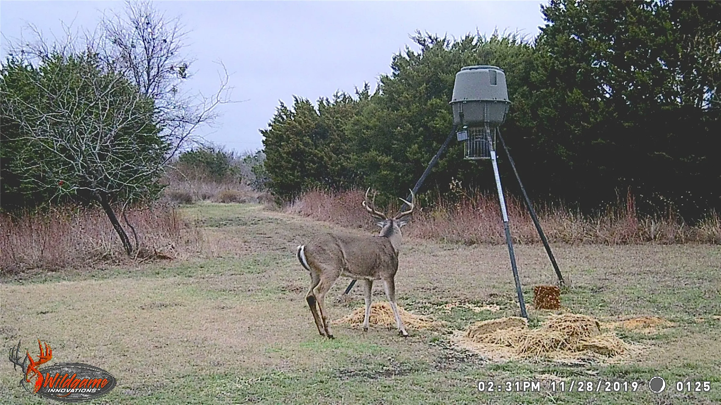 Farm For Sale in Bosque County , 5636 Fm 56, Clifton, Texas 76634, 3 Bedrooms, 2 Bathrooms, 2 Garage spaces, 1,847 Sqft, built in 2003, Price $775,000, mls#21252359, Real Estate Agent in Clifton, Homes For Sale in Bosque county, Homes For Sale in Clifton, Realtor in Clifton Texas, Real Estate Brokerage Independent Realty Texas, Luminita Cordes Realtor