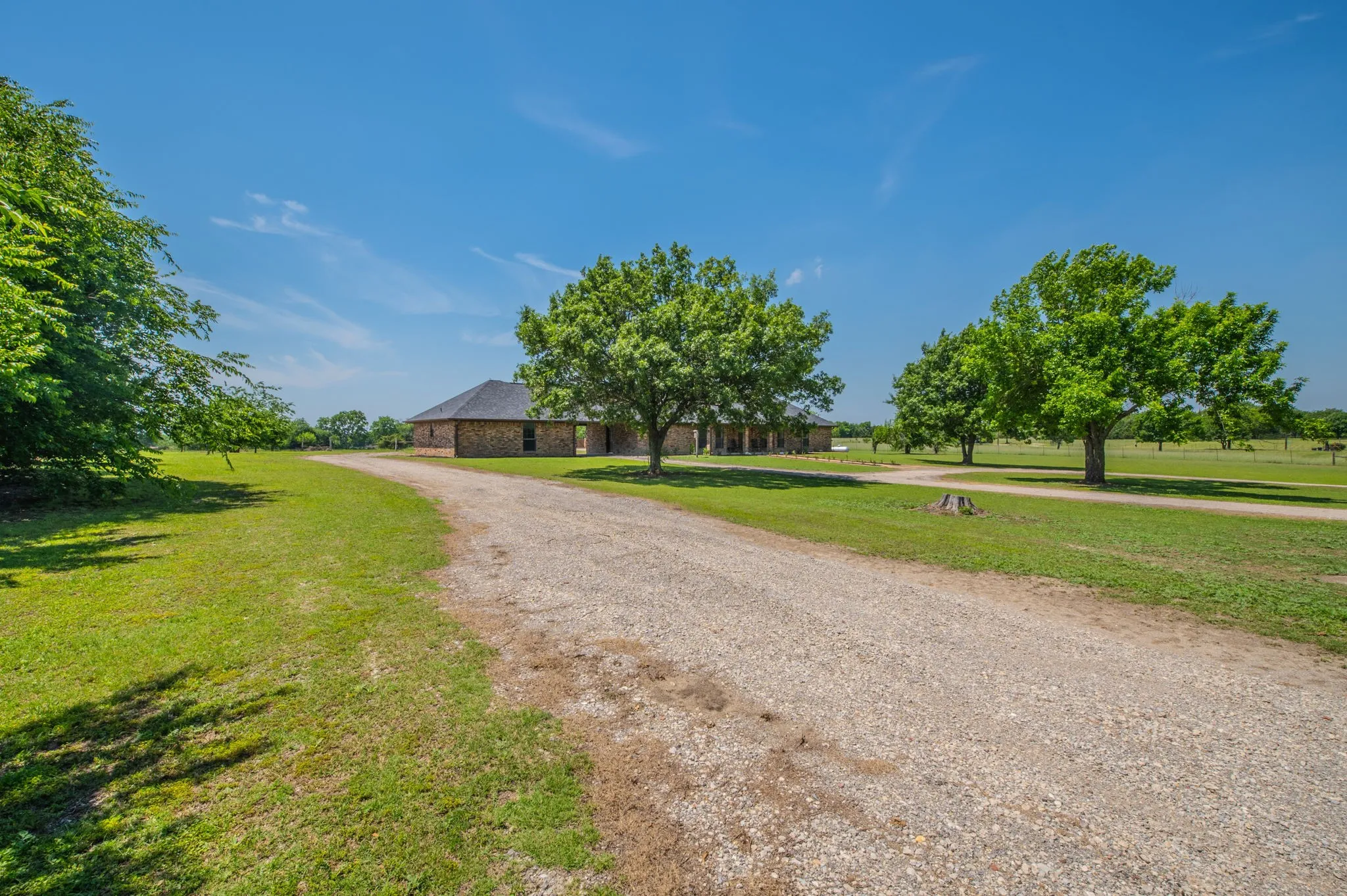 Beautiful drive-up to the property; look at those trees!
