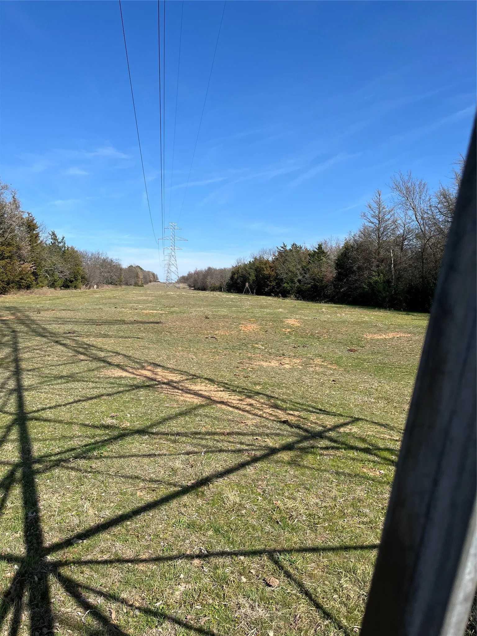 Pasture