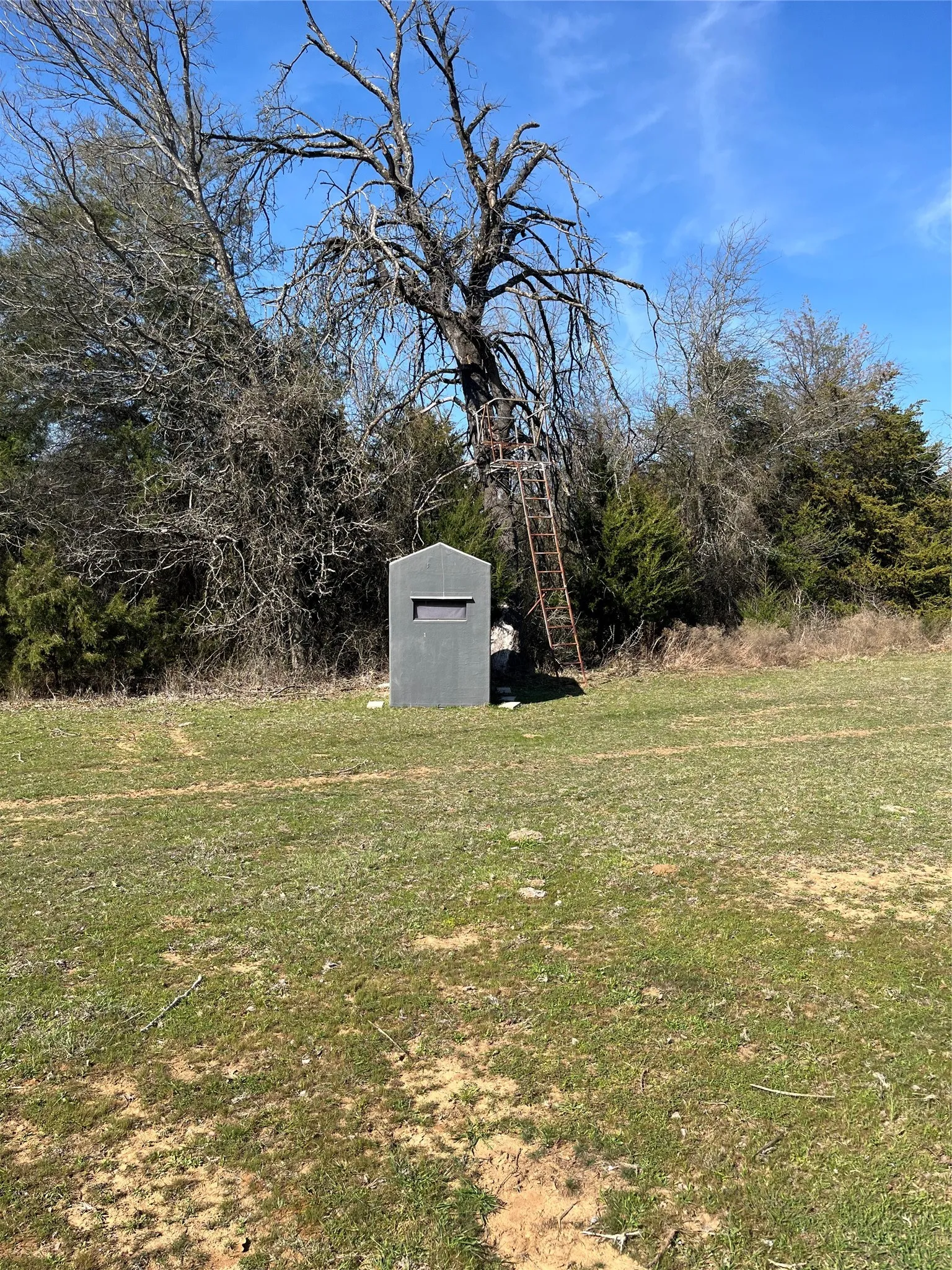 Deer Blind and Off the ground stand