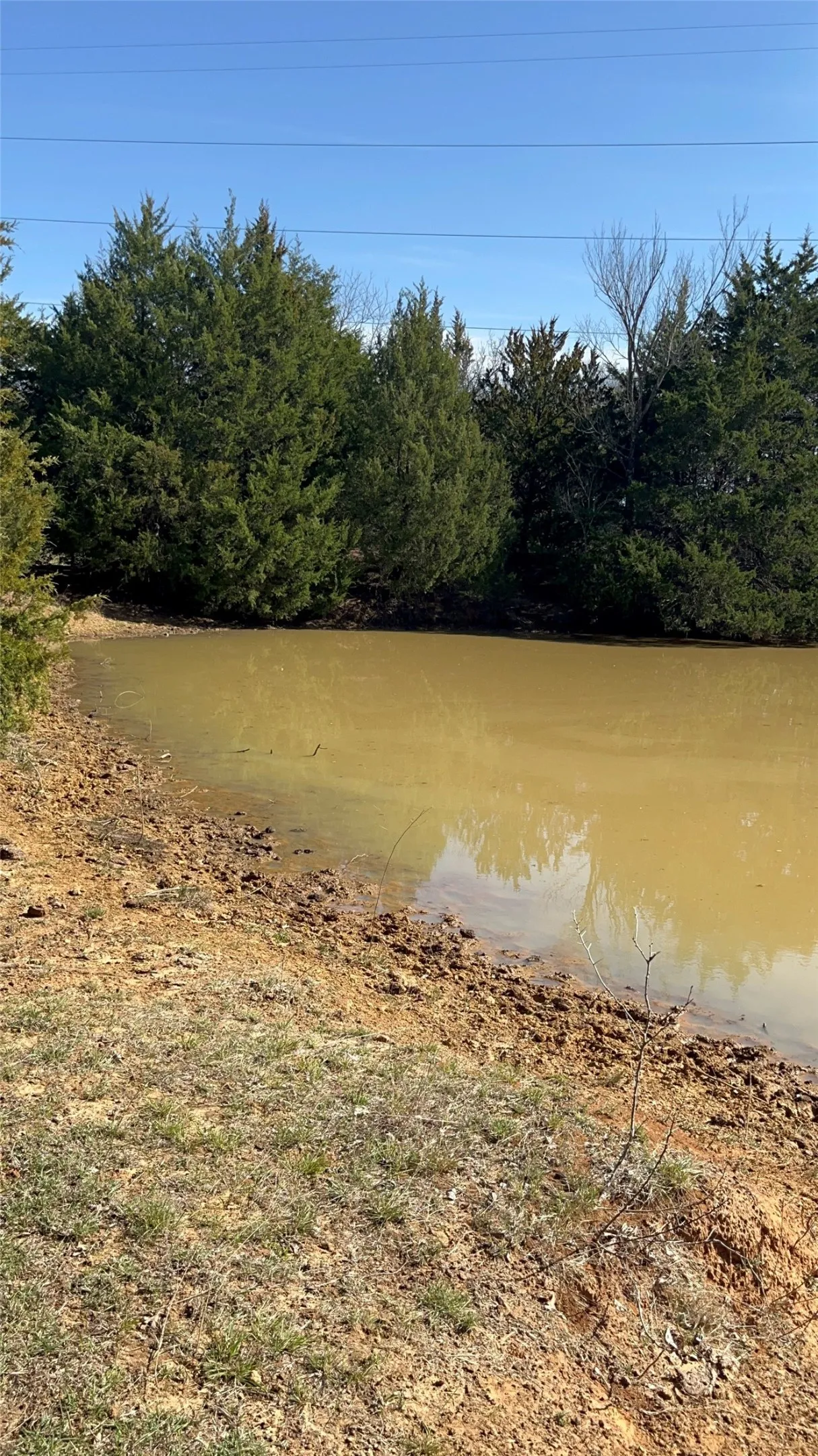 Stock Tank