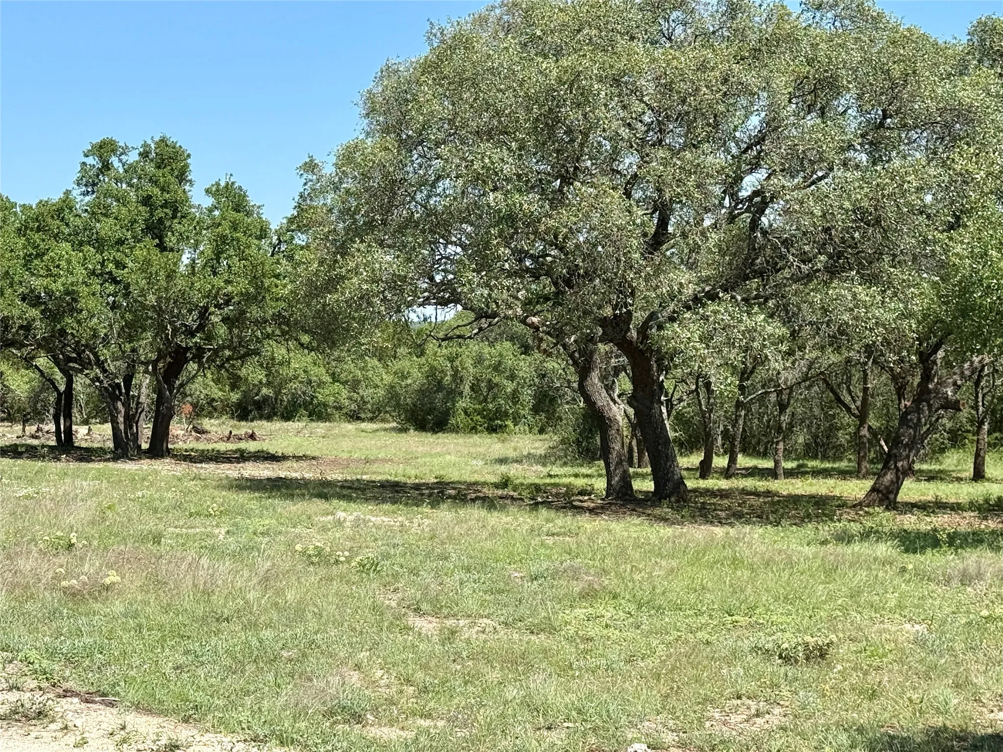 Unimproved Land For Sale in Brown County , TBD Hwy 67-377, Blanket, Texas 76432, 0, 0, Garage spaces, 0 Sqft, built in 0, mls#21252756, Real Estate Agent in Blanket, Homes For Sale in Brown county, Homes For Sale in Blanket, Realtor in Blanket Texas, Real Estate Brokerage Independent Realty Texas, Luminita Cordes Realtor