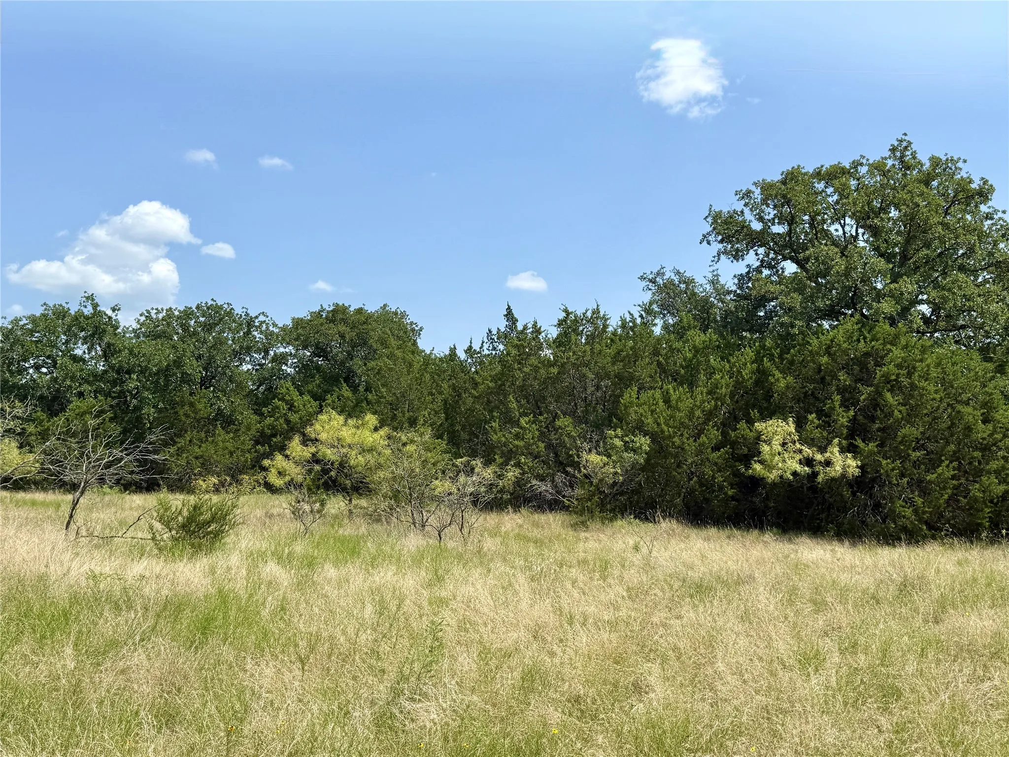 Unimproved Land For Sale in Brown County , TBD Hwy 67-377, Blanket, Texas 76432, 0, 0, Garage spaces, 0 Sqft, built in 0, mls#21252756, Real Estate Agent in Blanket, Homes For Sale in Brown county, Homes For Sale in Blanket, Realtor in Blanket Texas, Real Estate Brokerage Independent Realty Texas, Luminita Cordes Realtor