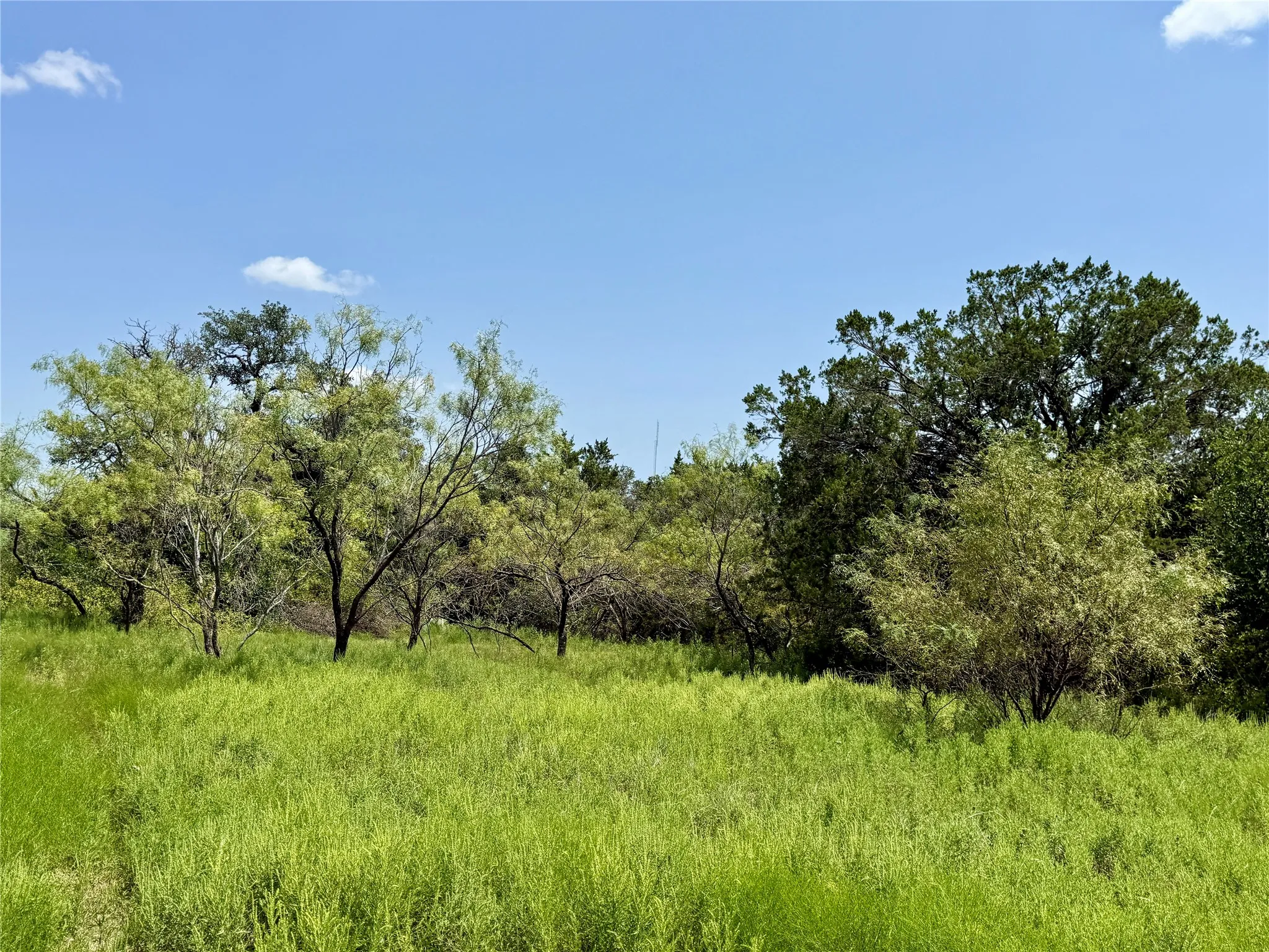 Unimproved Land For Sale in Brown County , TBD Hwy 67-377, Blanket, Texas 76432, 0, 0, Garage spaces, 0 Sqft, built in 0, mls#21252756, Real Estate Agent in Blanket, Homes For Sale in Brown county, Homes For Sale in Blanket, Realtor in Blanket Texas, Real Estate Brokerage Independent Realty Texas, Luminita Cordes Realtor