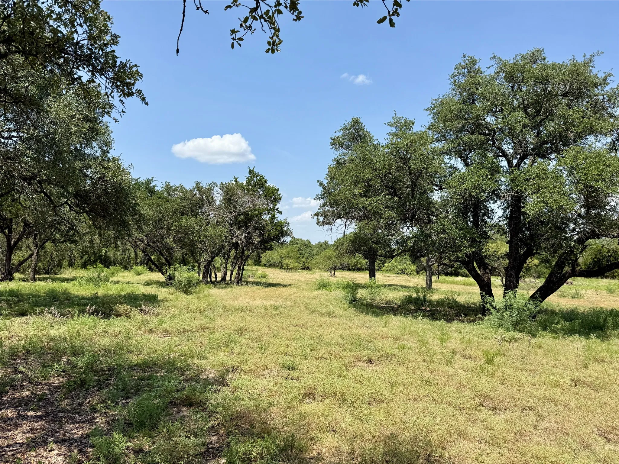 Unimproved Land For Sale in Brown County , TBD Hwy 67-377, Blanket, Texas 76432, 0, 0, Garage spaces, 0 Sqft, built in 0, mls#21252756, Real Estate Agent in Blanket, Homes For Sale in Brown county, Homes For Sale in Blanket, Realtor in Blanket Texas, Real Estate Brokerage Independent Realty Texas, Luminita Cordes Realtor