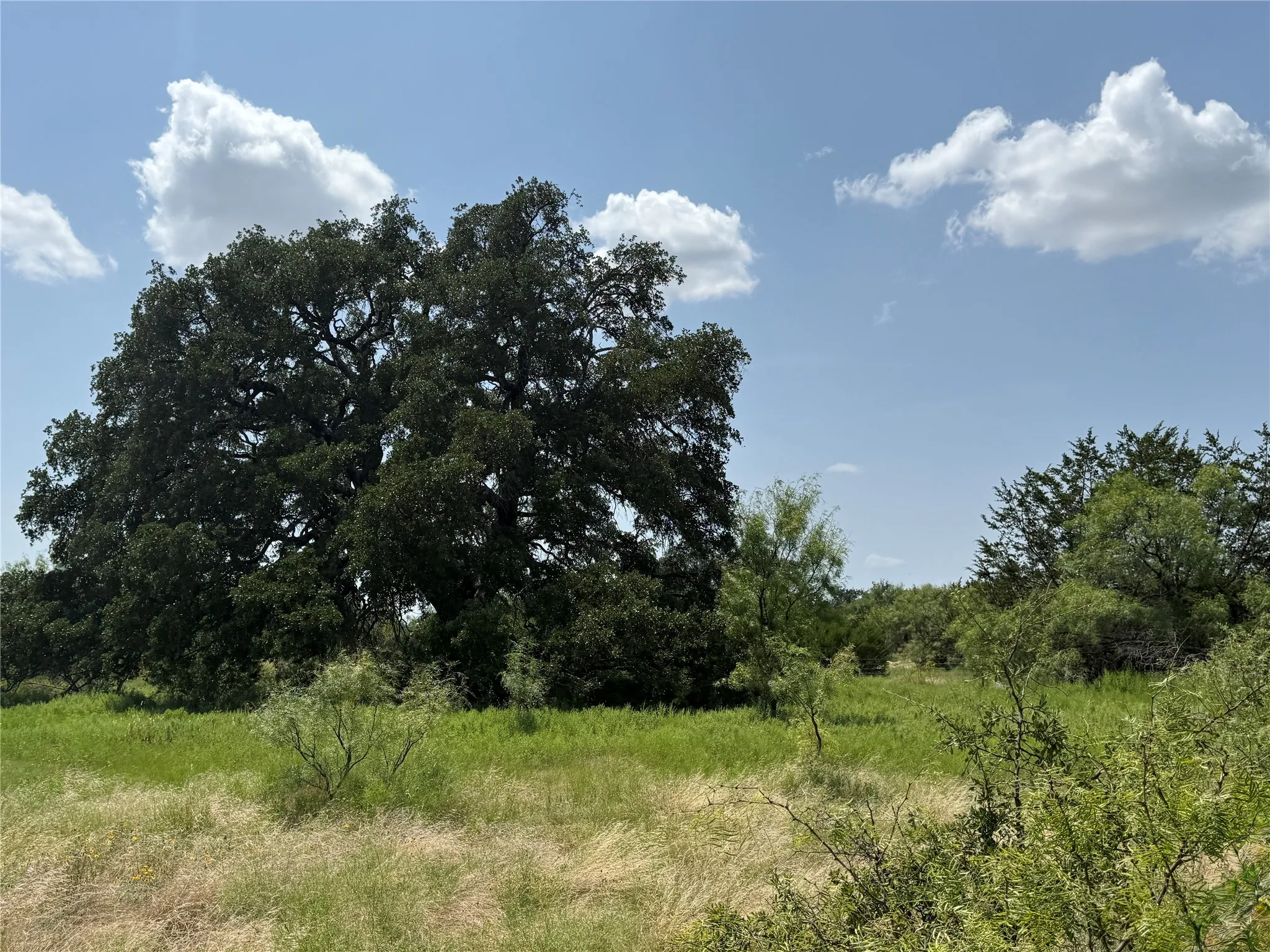 Unimproved Land For Sale in Brown County , TBD Hwy 67-377, Blanket, Texas 76432, 0, 0, Garage spaces, 0 Sqft, built in 0, mls#21252756, Real Estate Agent in Blanket, Homes For Sale in Brown county, Homes For Sale in Blanket, Realtor in Blanket Texas, Real Estate Brokerage Independent Realty Texas, Luminita Cordes Realtor