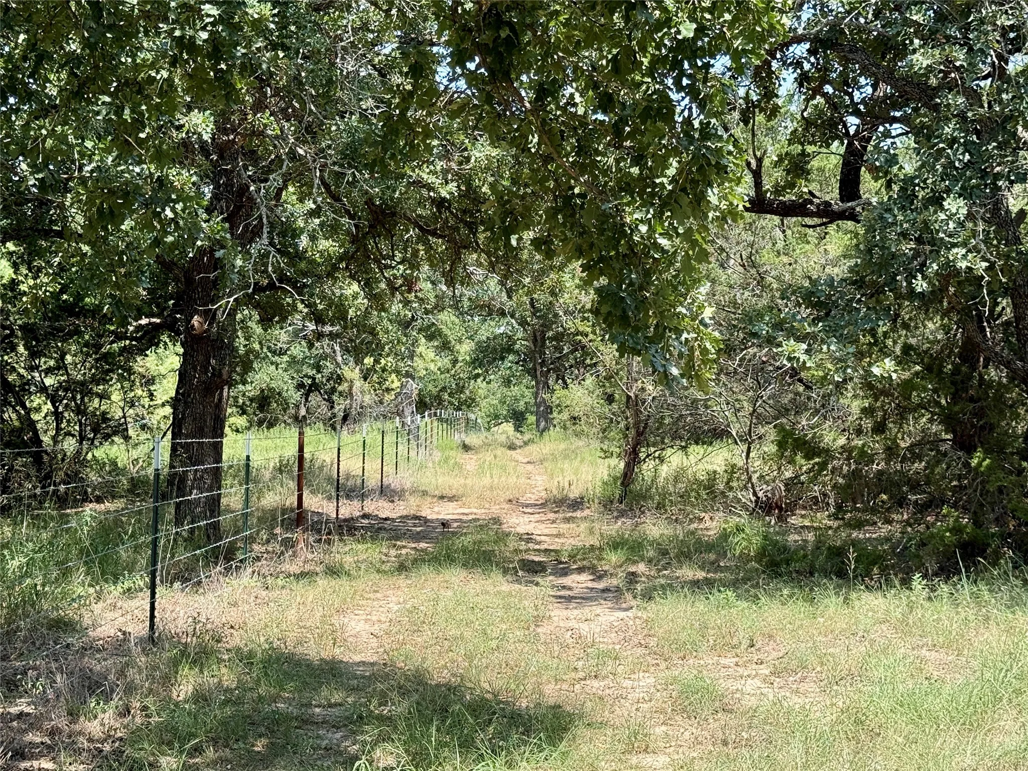 Unimproved Land For Sale in Brown County , TBD Hwy 67-377, Blanket, Texas 76432, 0, 0, Garage spaces, 0 Sqft, built in 0, mls#21252756, Real Estate Agent in Blanket, Homes For Sale in Brown county, Homes For Sale in Blanket, Realtor in Blanket Texas, Real Estate Brokerage Independent Realty Texas, Luminita Cordes Realtor