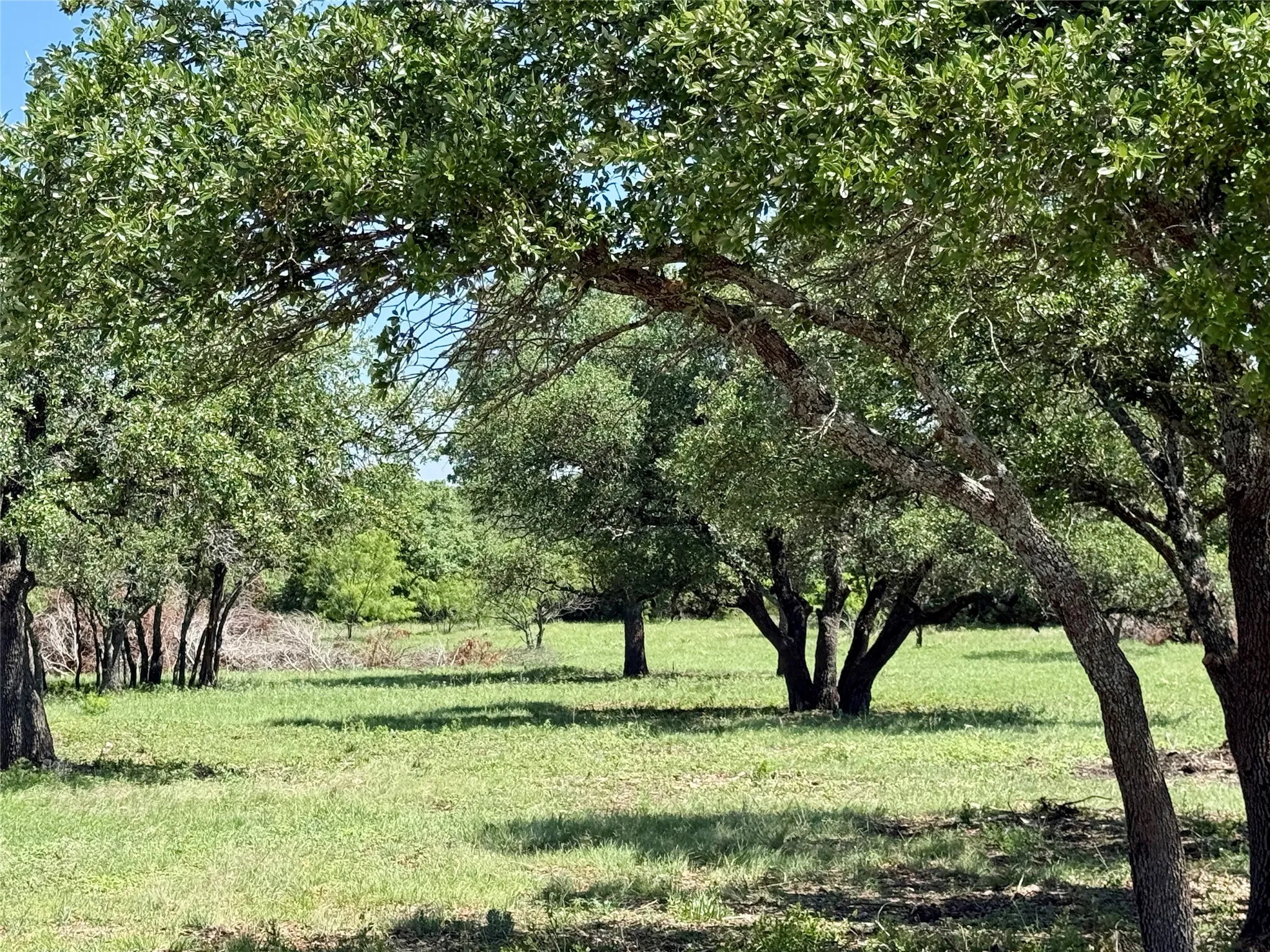Unimproved Land For Sale in Brown County , TBD Hwy 67-377, Blanket, Texas 76432, 0, 0, Garage spaces, 0 Sqft, built in 0, mls#21252756, Real Estate Agent in Blanket, Homes For Sale in Brown county, Homes For Sale in Blanket, Realtor in Blanket Texas, Real Estate Brokerage Independent Realty Texas, Luminita Cordes Realtor