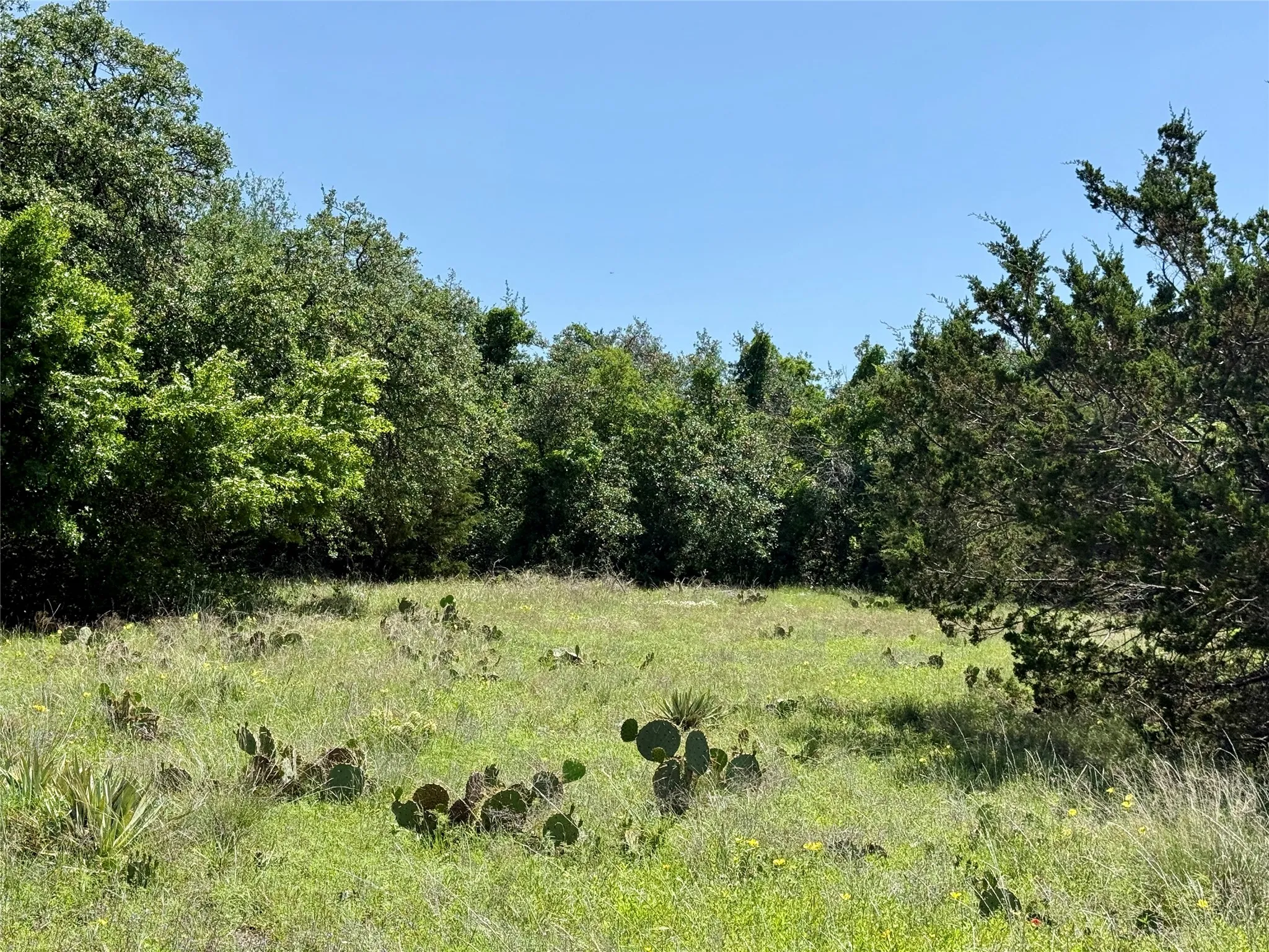 Unimproved Land For Sale in Brown County , TBD Hwy 67-377, Blanket, Texas 76432, 0, 0, Garage spaces, 0 Sqft, built in 0, mls#21252756, Real Estate Agent in Blanket, Homes For Sale in Brown county, Homes For Sale in Blanket, Realtor in Blanket Texas, Real Estate Brokerage Independent Realty Texas, Luminita Cordes Realtor