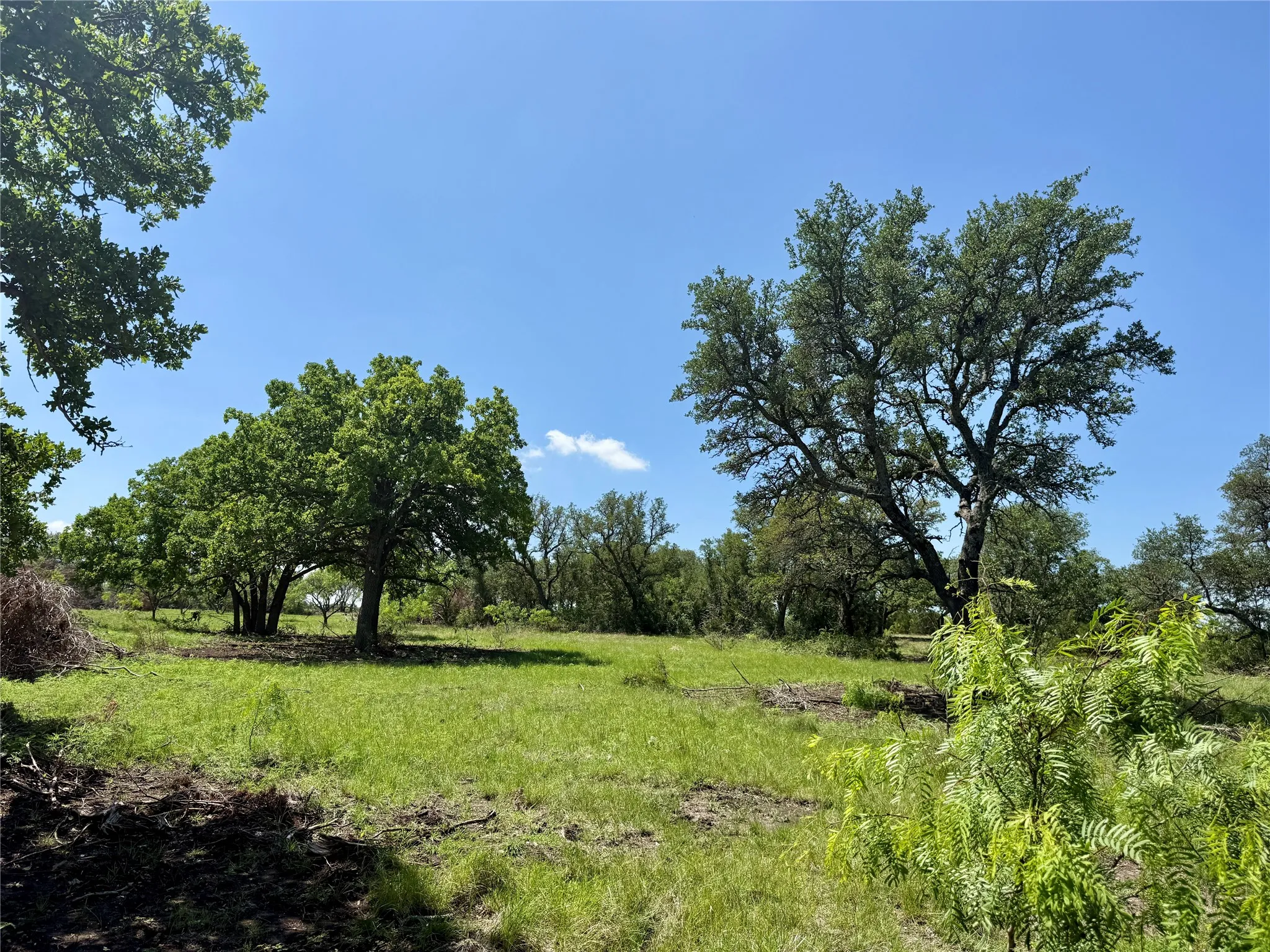 Unimproved Land For Sale in Brown County , TBD Hwy 67-377, Blanket, Texas 76432, 0, 0, Garage spaces, 0 Sqft, built in 0, mls#21252756, Real Estate Agent in Blanket, Homes For Sale in Brown county, Homes For Sale in Blanket, Realtor in Blanket Texas, Real Estate Brokerage Independent Realty Texas, Luminita Cordes Realtor