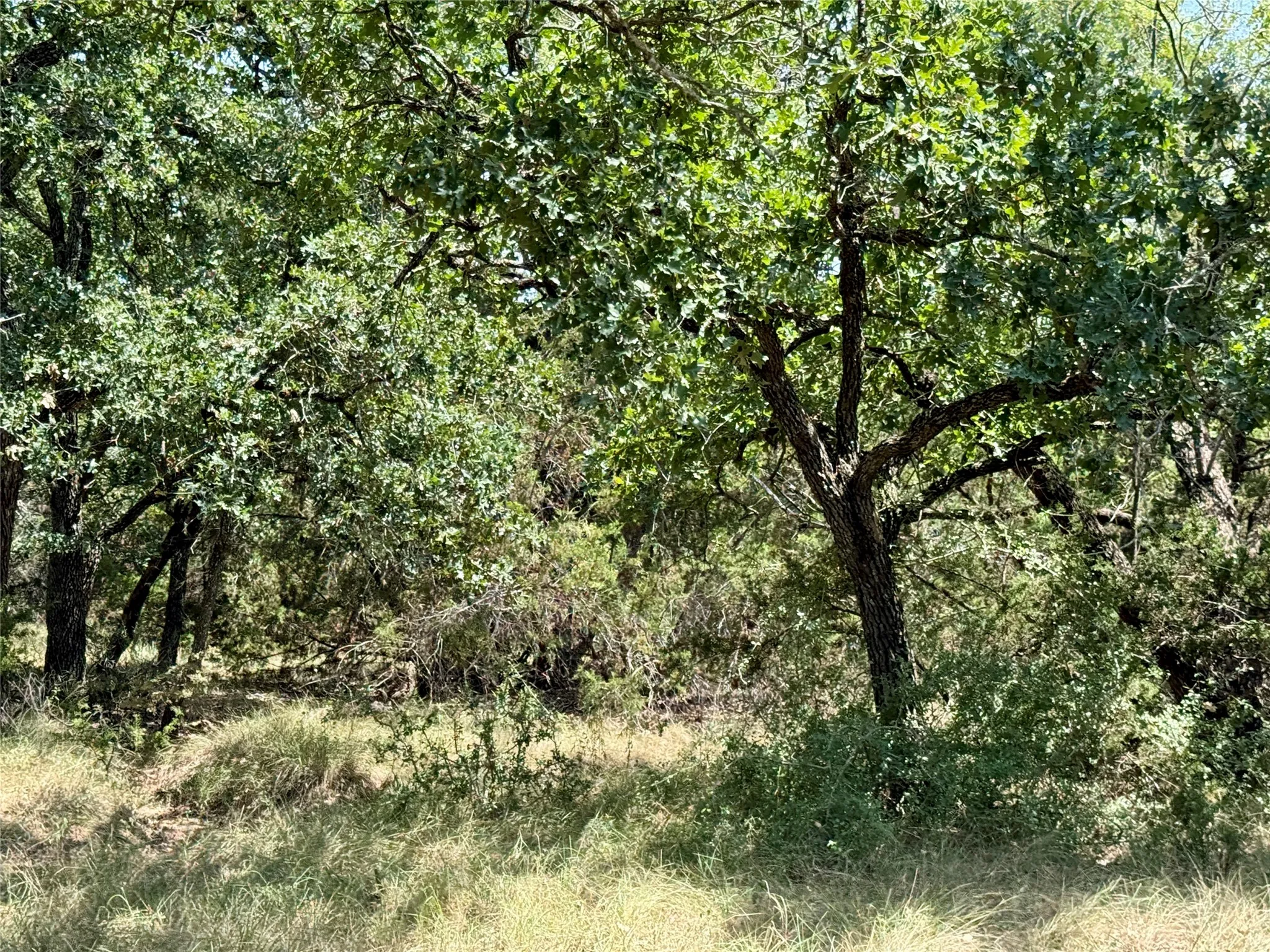Unimproved Land For Sale in Brown County , TBD Hwy 67-377, Blanket, Texas 76432, 0, 0, Garage spaces, 0 Sqft, built in 0, mls#21252756, Real Estate Agent in Blanket, Homes For Sale in Brown county, Homes For Sale in Blanket, Realtor in Blanket Texas, Real Estate Brokerage Independent Realty Texas, Luminita Cordes Realtor