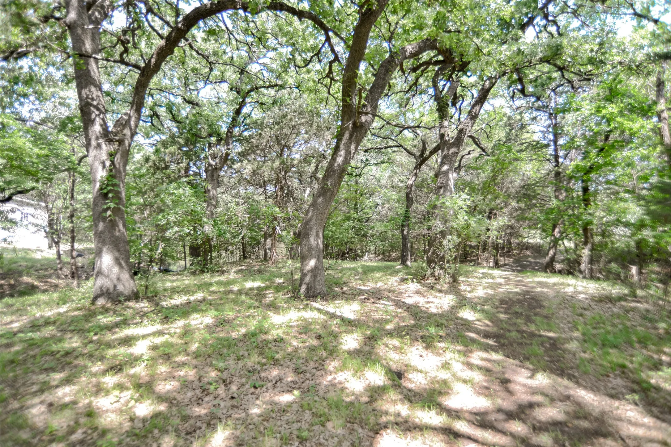 Improved Land For Sale in Grayson County , 11991 Fm 901, Sadler, Texas 76264, 0, 0, Garage spaces, 0 Sqft, built in 0, mls#21249613, Real Estate Agent in Sadler, Homes For Sale in Grayson county, Homes For Sale in Sadler, Realtor in Sadler Texas, Real Estate Brokerage Independent Realty Texas, Luminita Cordes Realtor