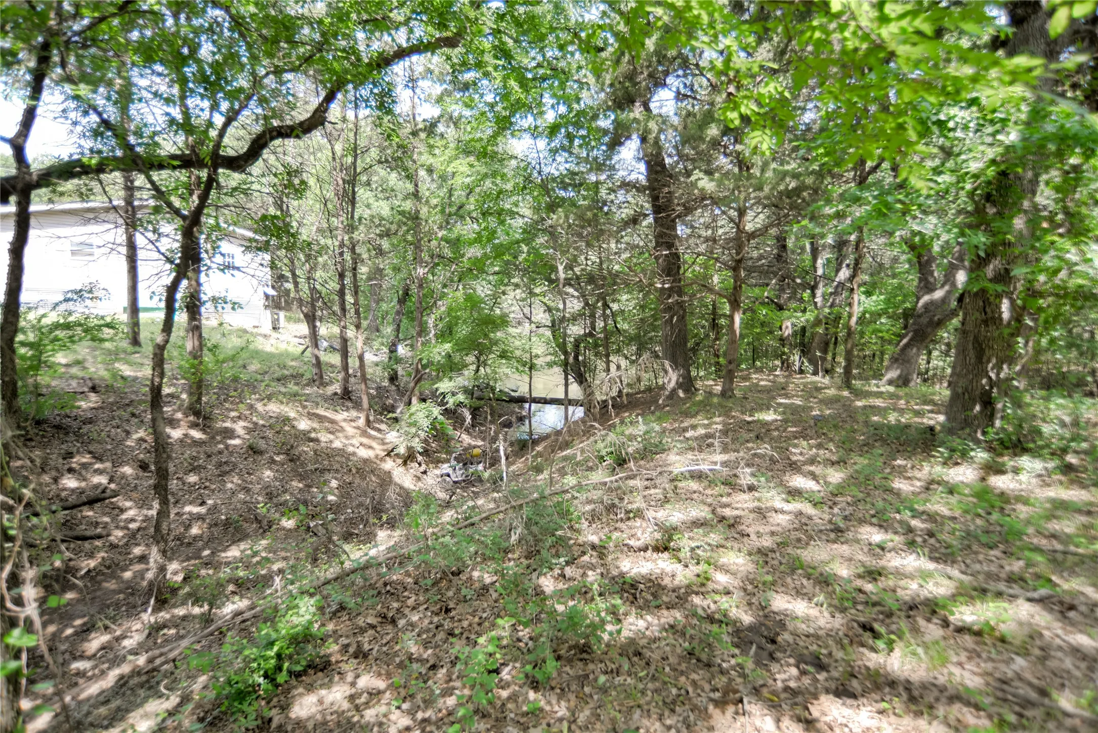 Improved Land For Sale in Grayson County , 11991 Fm 901, Sadler, Texas 76264, 0, 0, Garage spaces, 0 Sqft, built in 0, mls#21249613, Real Estate Agent in Sadler, Homes For Sale in Grayson county, Homes For Sale in Sadler, Realtor in Sadler Texas, Real Estate Brokerage Independent Realty Texas, Luminita Cordes Realtor