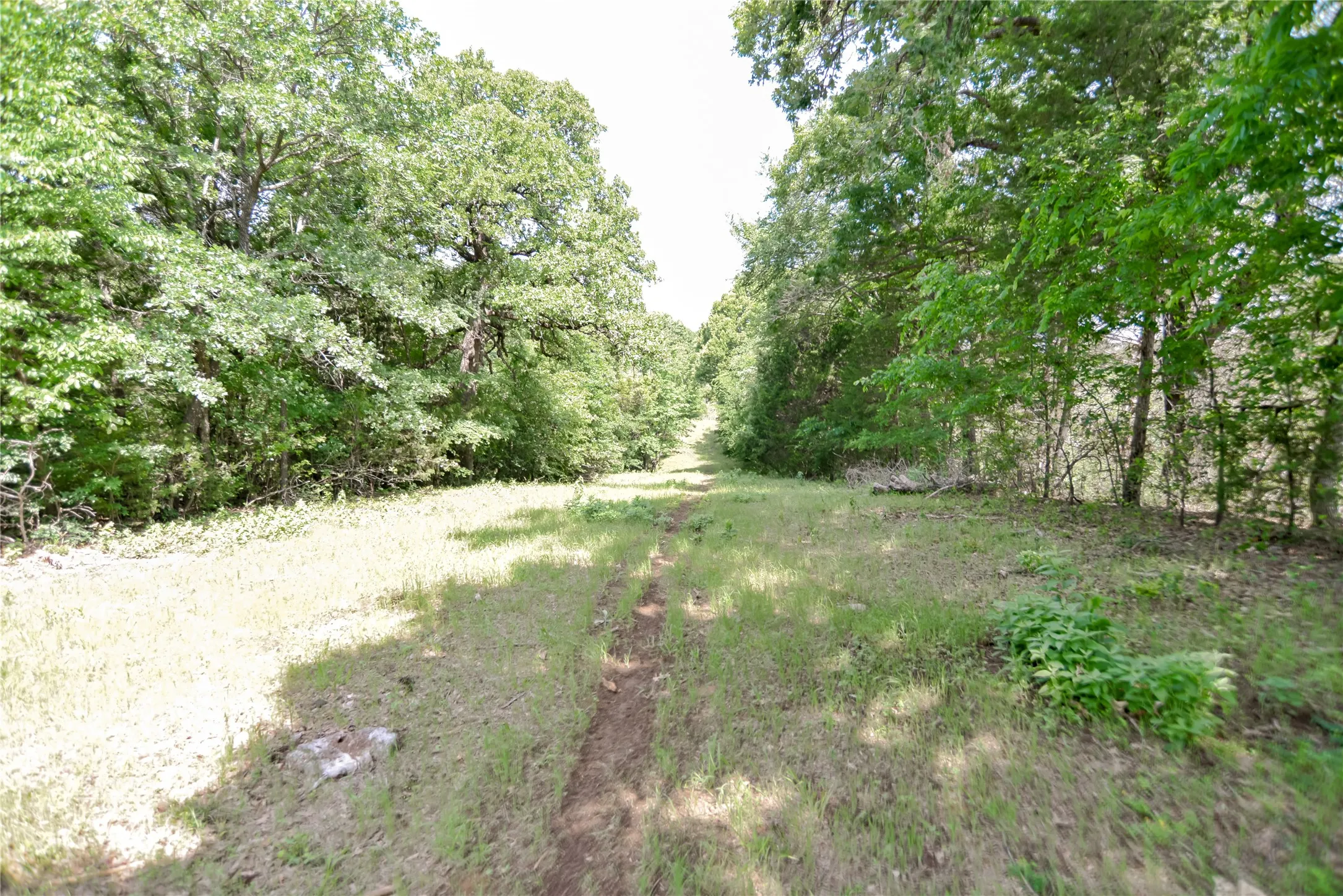 Improved Land For Sale in Grayson County , 11991 Fm 901, Sadler, Texas 76264, 0, 0, Garage spaces, 0 Sqft, built in 0, mls#21249613, Real Estate Agent in Sadler, Homes For Sale in Grayson county, Homes For Sale in Sadler, Realtor in Sadler Texas, Real Estate Brokerage Independent Realty Texas, Luminita Cordes Realtor