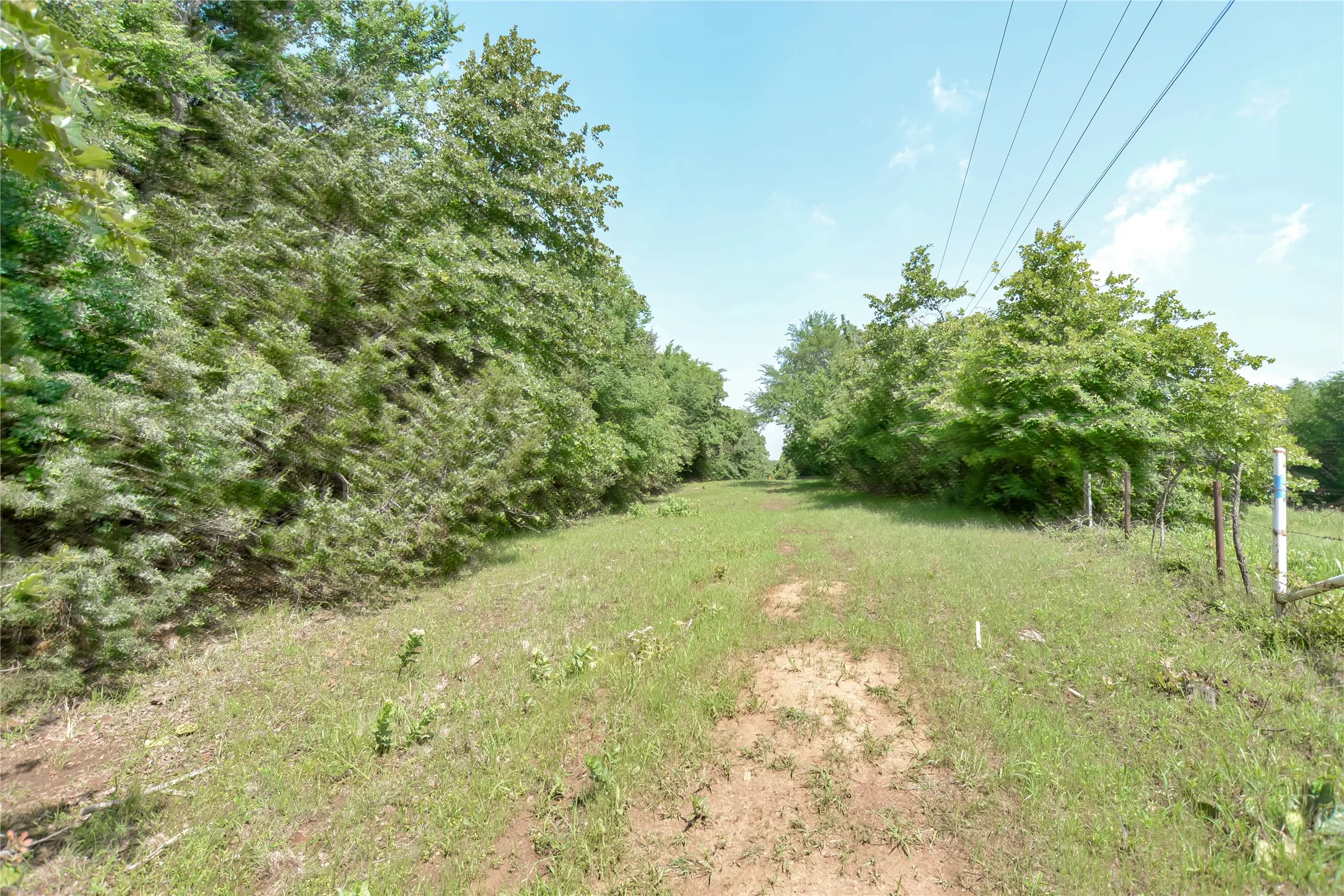 Improved Land For Sale in Grayson County , 11991 Fm 901, Sadler, Texas 76264, 0, 0, Garage spaces, 0 Sqft, built in 0, mls#21249613, Real Estate Agent in Sadler, Homes For Sale in Grayson county, Homes For Sale in Sadler, Realtor in Sadler Texas, Real Estate Brokerage Independent Realty Texas, Luminita Cordes Realtor