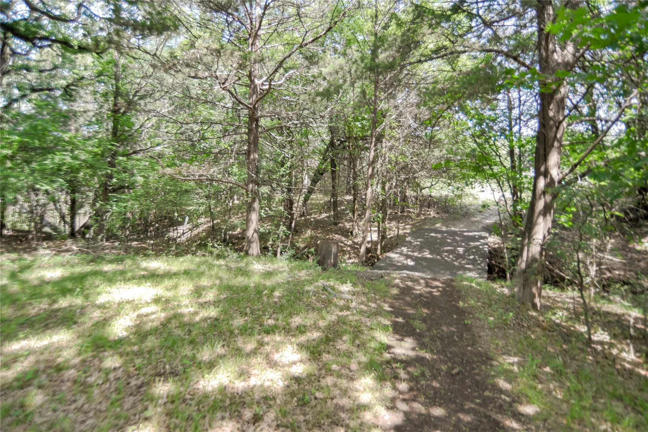 Improved Land For Sale in Grayson County , 11991 Fm 901, Sadler, Texas 76264, 0, 0, Garage spaces, 0 Sqft, built in 0, mls#21249613, Real Estate Agent in Sadler, Homes For Sale in Grayson county, Homes For Sale in Sadler, Realtor in Sadler Texas, Real Estate Brokerage Independent Realty Texas, Luminita Cordes Realtor
