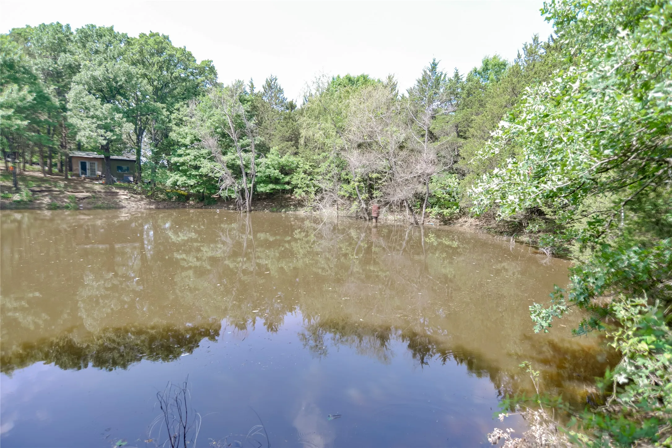 Improved Land For Sale in Grayson County , 11991 Fm 901, Sadler, Texas 76264, 0, 0, Garage spaces, 0 Sqft, built in 0, mls#21249613, Real Estate Agent in Sadler, Homes For Sale in Grayson county, Homes For Sale in Sadler, Realtor in Sadler Texas, Real Estate Brokerage Independent Realty Texas, Luminita Cordes Realtor