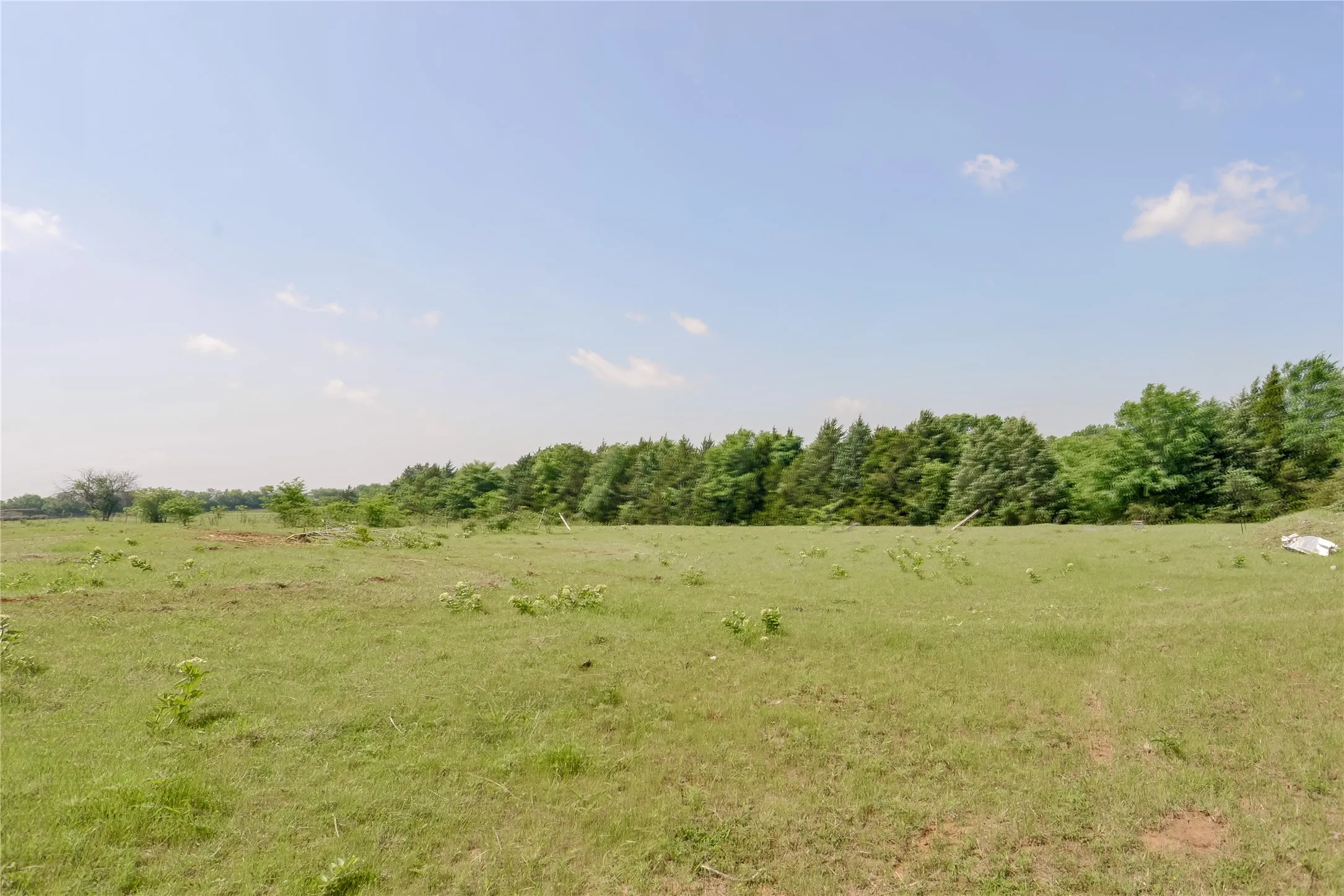 Improved Land For Sale in Grayson County , 11991 Fm 901, Sadler, Texas 76264, 0, 0, Garage spaces, 0 Sqft, built in 0, mls#21249613, Real Estate Agent in Sadler, Homes For Sale in Grayson county, Homes For Sale in Sadler, Realtor in Sadler Texas, Real Estate Brokerage Independent Realty Texas, Luminita Cordes Realtor