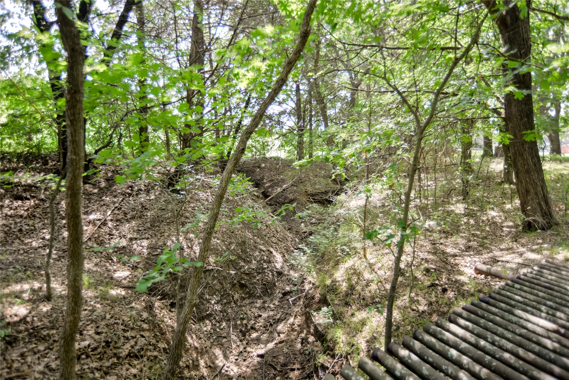 Improved Land For Sale in Grayson County , 11991 Fm 901, Sadler, Texas 76264, 0, 0, Garage spaces, 0 Sqft, built in 0, mls#21249613, Real Estate Agent in Sadler, Homes For Sale in Grayson county, Homes For Sale in Sadler, Realtor in Sadler Texas, Real Estate Brokerage Independent Realty Texas, Luminita Cordes Realtor