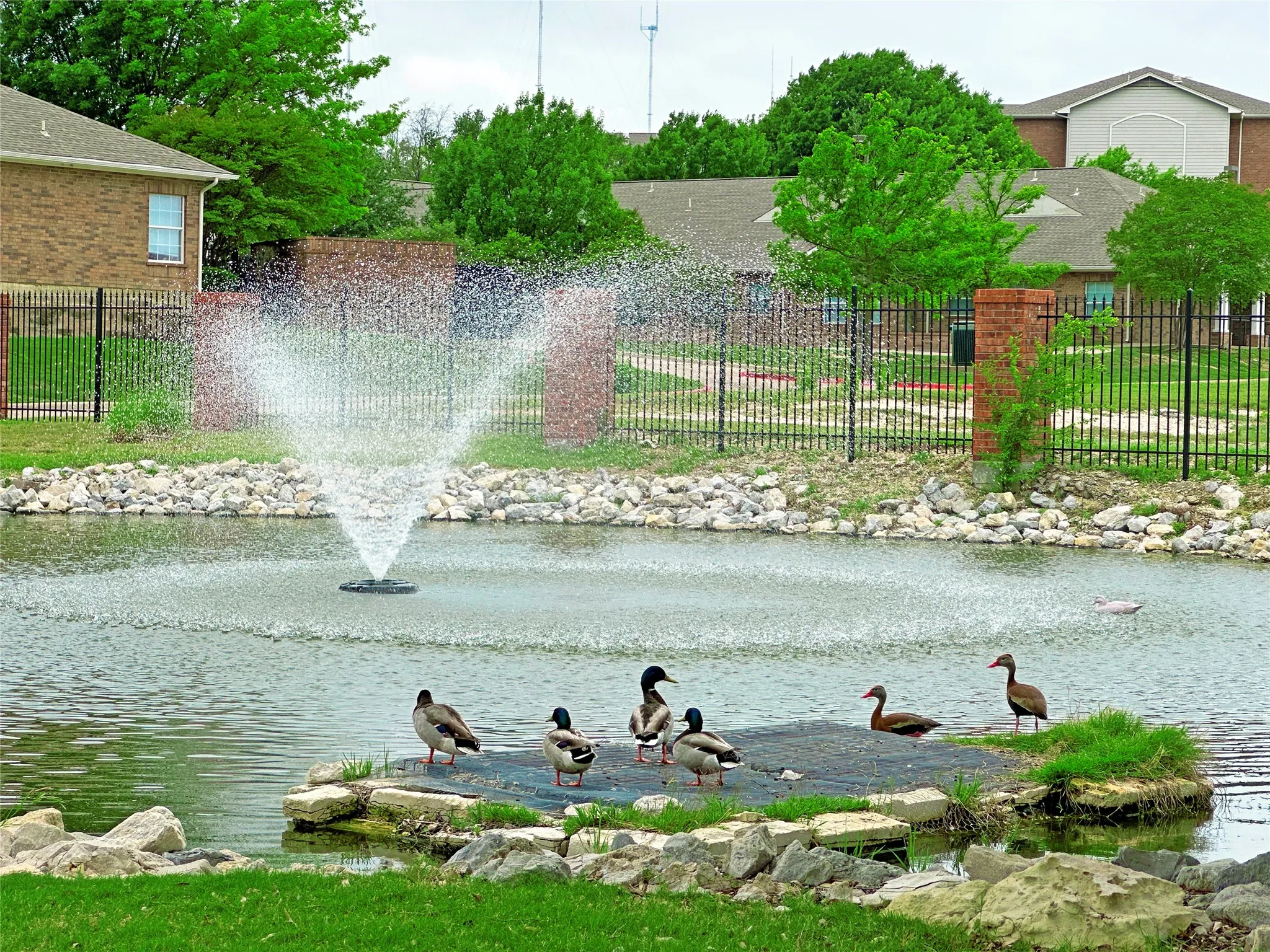 Single Family Residence For Sale in Dallas County , 110 Crestway Drive 29, Cedar Hill, Texas 75104, 3 Bedroom, 3 Bathroom, 2 Garage spaces, 2,286 Sqft, built in 2006, mls#21252172, Real Estate Agent in Cedar Hill, Homes For Sale in Dallas county, Homes For Sale in Cedar Hill, Realtor in Cedar Hill Texas, Real Estate Brokerage Independent Realty Texas, Luminita Cordes Realtor