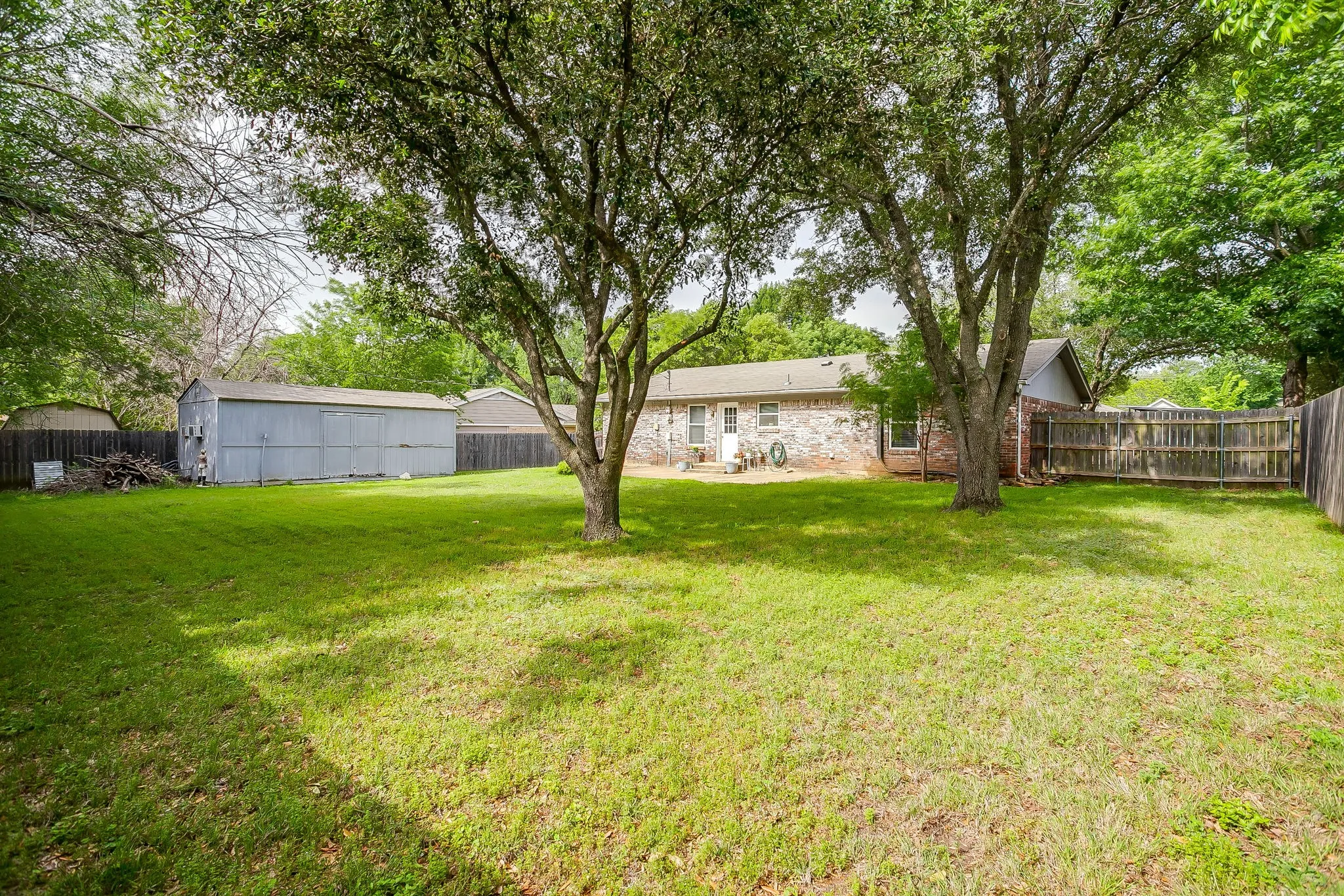 treed lot