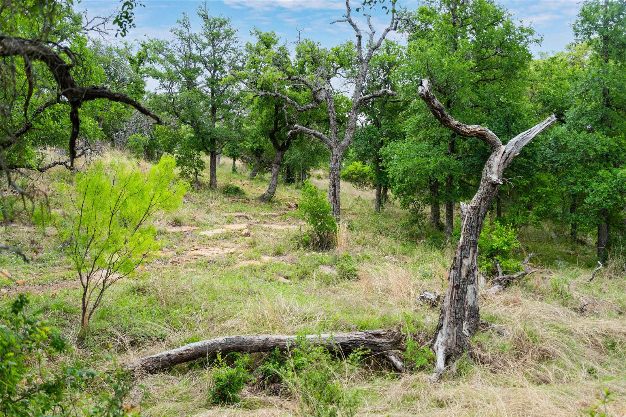 Ranch For Sale in Mills County , 182 County Road 430, Mullin, Texas 76864, 0, 0, Garage spaces, 0 Sqft, built in 0, mls#21248780, Real Estate Agent in Mullin, Homes For Sale in Mills county, Homes For Sale in Mullin, Realtor in Mullin Texas, Real Estate Brokerage Independent Realty Texas, Luminita Cordes Realtor