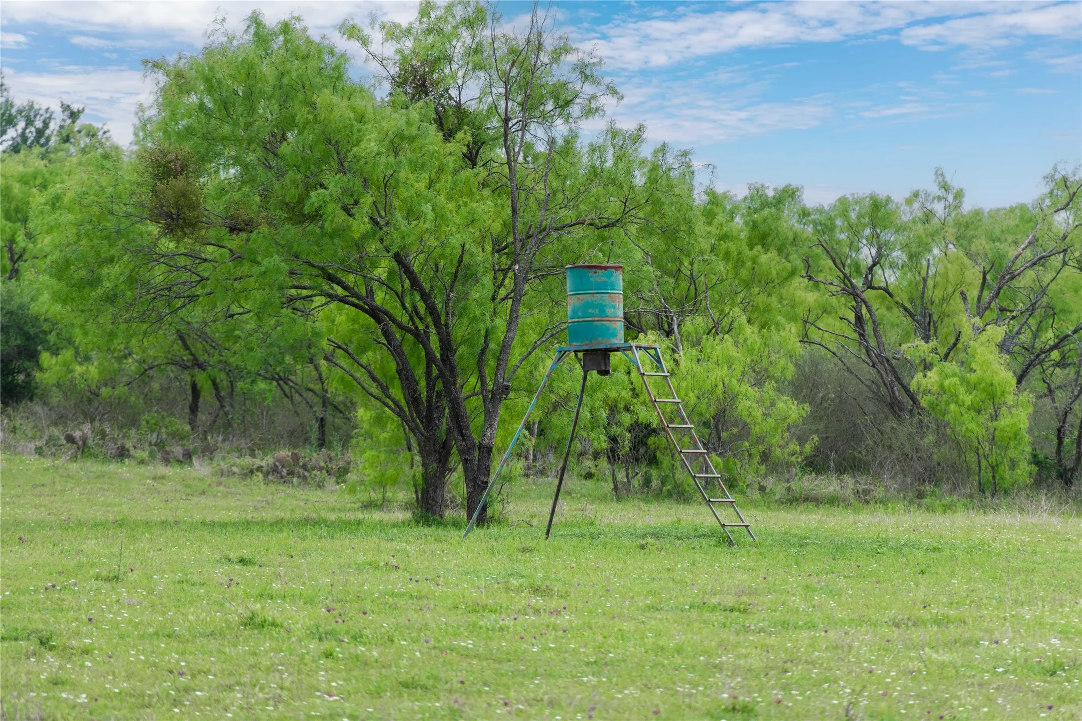Ranch For Sale in Mills County , 182 County Road 430, Mullin, Texas 76864, 0, 0, Garage spaces, 0 Sqft, built in 0, mls#21248780, Real Estate Agent in Mullin, Homes For Sale in Mills county, Homes For Sale in Mullin, Realtor in Mullin Texas, Real Estate Brokerage Independent Realty Texas, Luminita Cordes Realtor