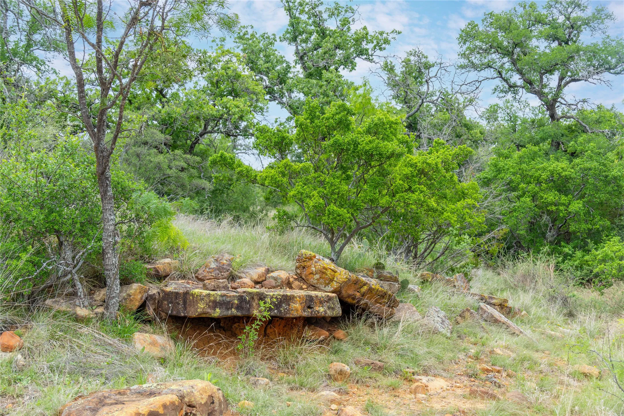Ranch For Sale in Mills County , 182 County Road 430, Mullin, Texas 76864, 0, 0, Garage spaces, 0 Sqft, built in 0, mls#21248780, Real Estate Agent in Mullin, Homes For Sale in Mills county, Homes For Sale in Mullin, Realtor in Mullin Texas, Real Estate Brokerage Independent Realty Texas, Luminita Cordes Realtor
