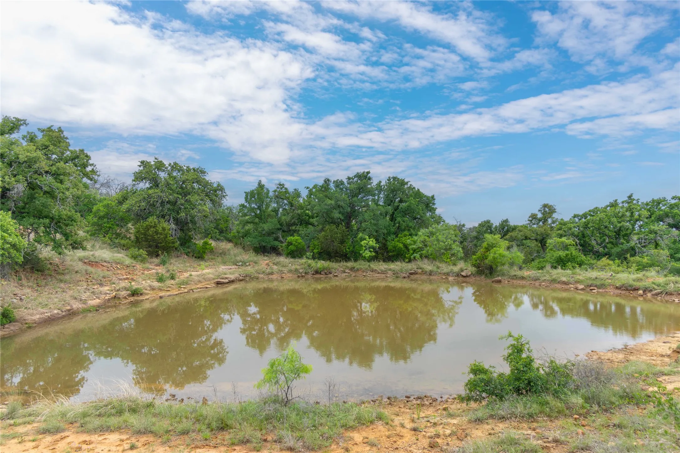Ranch For Sale in Mills County , 182 County Road 430, Mullin, Texas 76864, 0, 0, Garage spaces, 0 Sqft, built in 0, mls#21248780, Real Estate Agent in Mullin, Homes For Sale in Mills county, Homes For Sale in Mullin, Realtor in Mullin Texas, Real Estate Brokerage Independent Realty Texas, Luminita Cordes Realtor