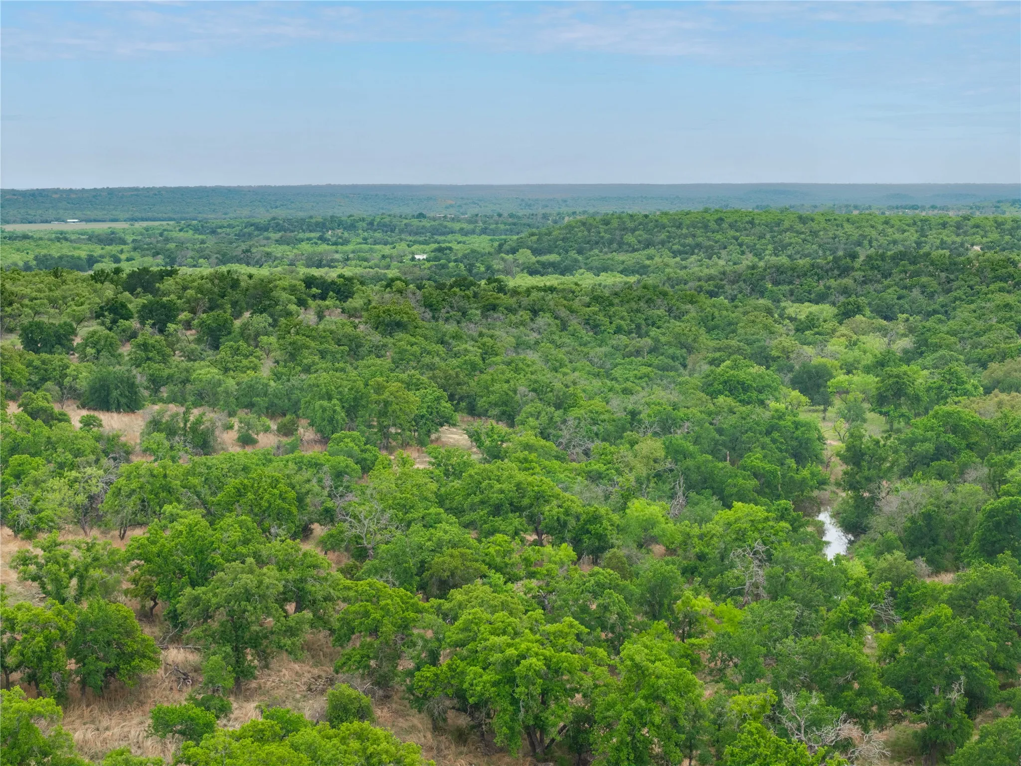 Ranch For Sale in Mills County , 182 County Road 430, Mullin, Texas 76864, 0, 0, Garage spaces, 0 Sqft, built in 0, mls#21248780, Real Estate Agent in Mullin, Homes For Sale in Mills county, Homes For Sale in Mullin, Realtor in Mullin Texas, Real Estate Brokerage Independent Realty Texas, Luminita Cordes Realtor
