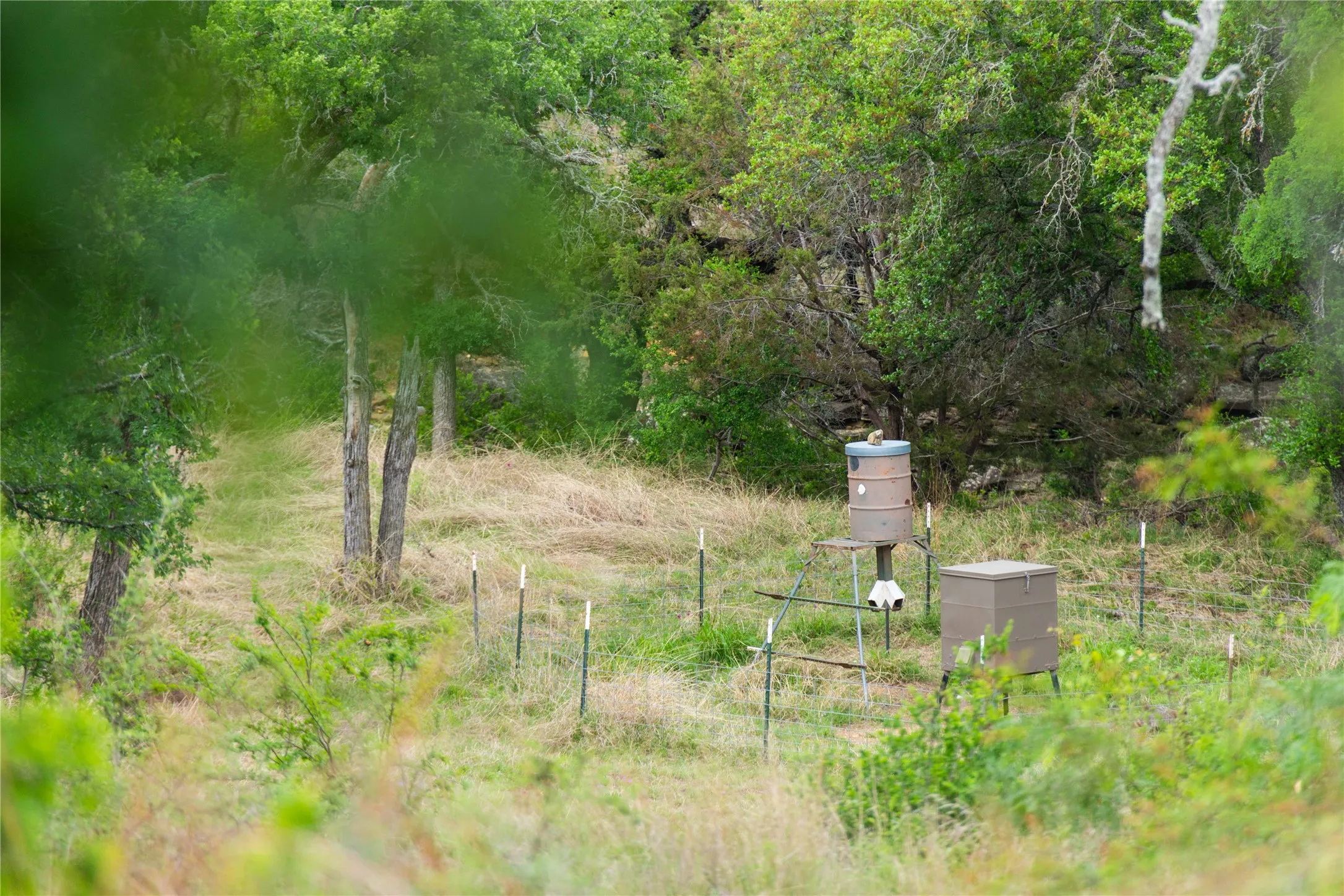 Ranch For Sale in Mills County , 182 County Road 430, Mullin, Texas 76864, 0, 0, Garage spaces, 0 Sqft, built in 0, mls#21248780, Real Estate Agent in Mullin, Homes For Sale in Mills county, Homes For Sale in Mullin, Realtor in Mullin Texas, Real Estate Brokerage Independent Realty Texas, Luminita Cordes Realtor