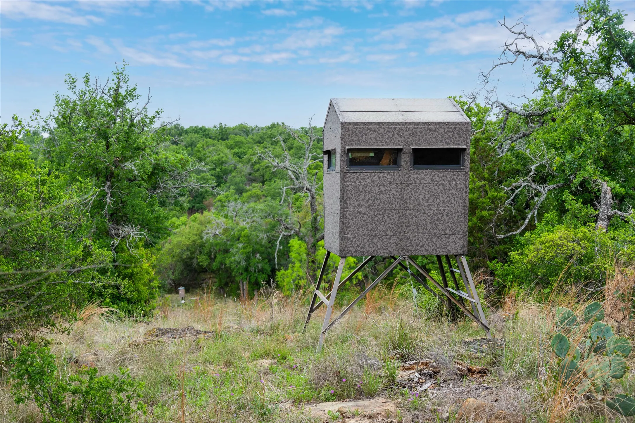 Ranch For Sale in Mills County , 182 County Road 430, Mullin, Texas 76864, 0, 0, Garage spaces, 0 Sqft, built in 0, mls#21248780, Real Estate Agent in Mullin, Homes For Sale in Mills county, Homes For Sale in Mullin, Realtor in Mullin Texas, Real Estate Brokerage Independent Realty Texas, Luminita Cordes Realtor