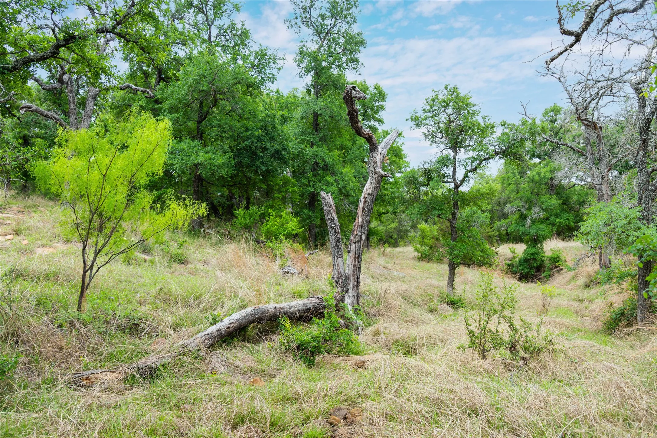 Ranch For Sale in Mills County , 182 County Road 430, Mullin, Texas 76864, 0, 0, Garage spaces, 0 Sqft, built in 0, mls#21248780, Real Estate Agent in Mullin, Homes For Sale in Mills county, Homes For Sale in Mullin, Realtor in Mullin Texas, Real Estate Brokerage Independent Realty Texas, Luminita Cordes Realtor