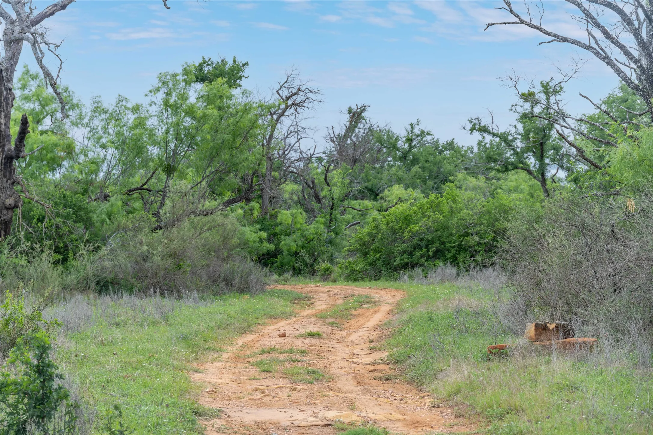 Ranch For Sale in Mills County , 182 County Road 430, Mullin, Texas 76864, 0, 0, Garage spaces, 0 Sqft, built in 0, mls#21248780, Real Estate Agent in Mullin, Homes For Sale in Mills county, Homes For Sale in Mullin, Realtor in Mullin Texas, Real Estate Brokerage Independent Realty Texas, Luminita Cordes Realtor