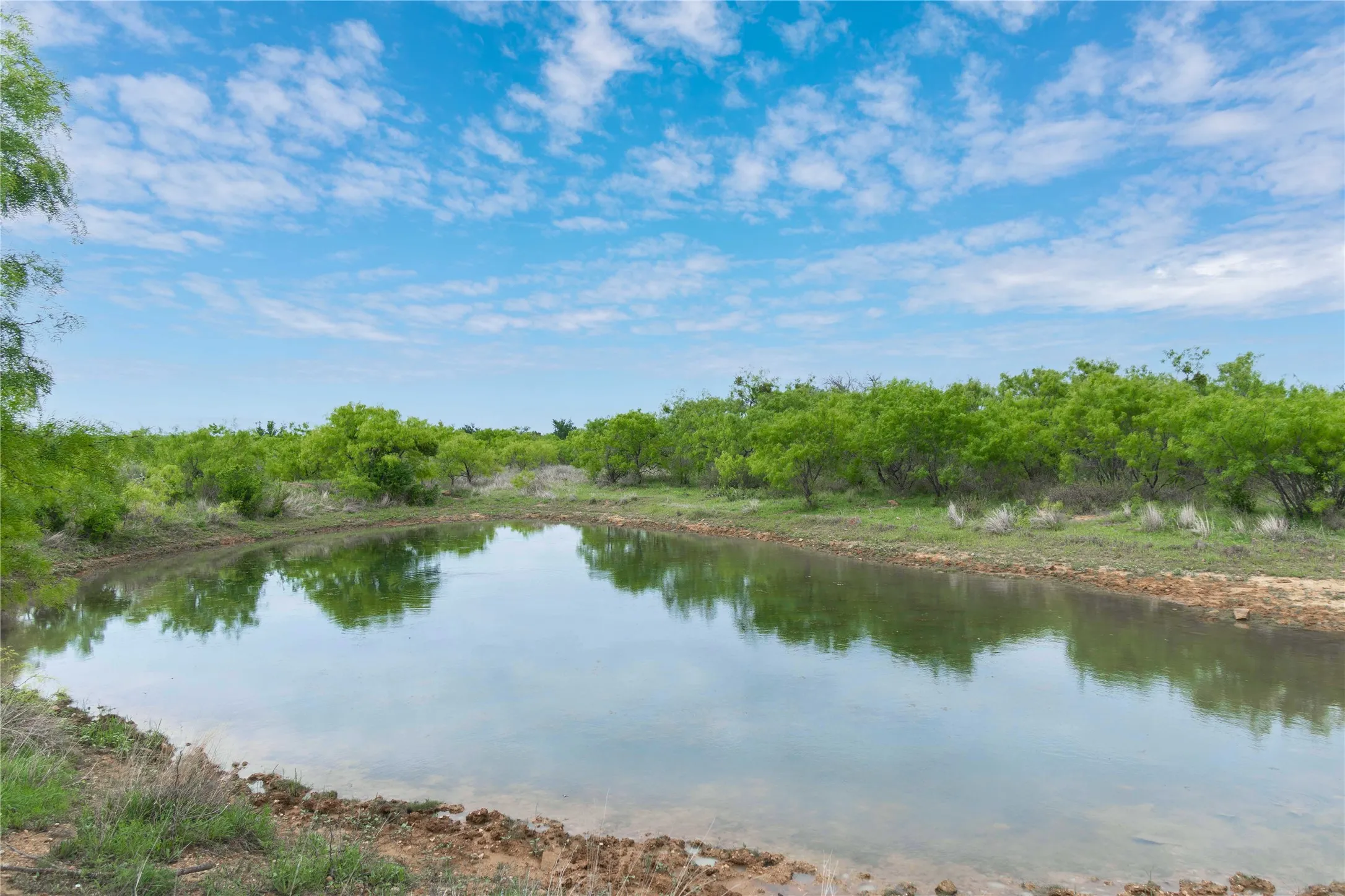 Ranch For Sale in Mills County , 182 County Road 430, Mullin, Texas 76864, 0, 0, Garage spaces, 0 Sqft, built in 0, mls#21248780, Real Estate Agent in Mullin, Homes For Sale in Mills county, Homes For Sale in Mullin, Realtor in Mullin Texas, Real Estate Brokerage Independent Realty Texas, Luminita Cordes Realtor