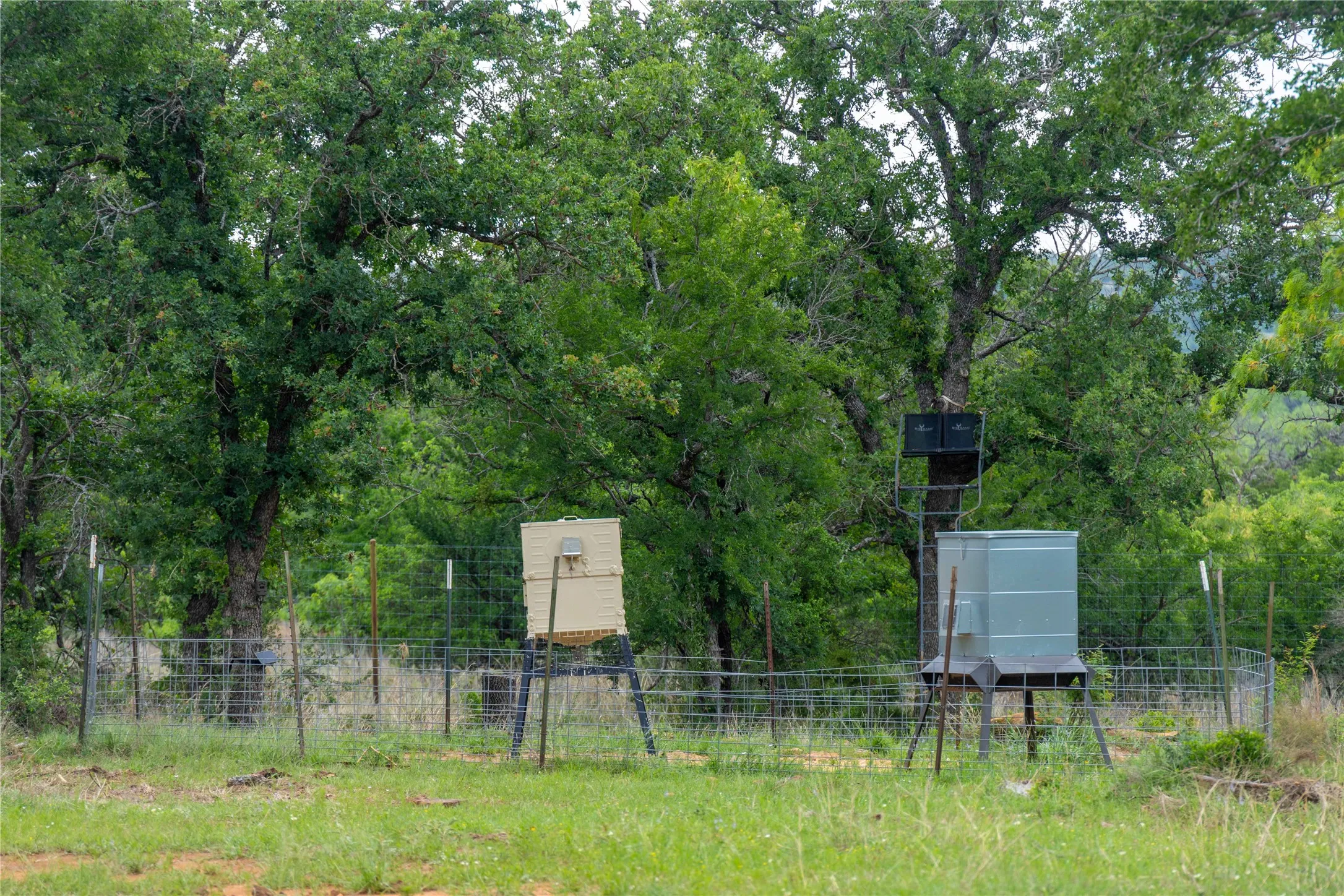 Ranch For Sale in Mills County , 182 County Road 430, Mullin, Texas 76864, 0, 0, Garage spaces, 0 Sqft, built in 0, mls#21248780, Real Estate Agent in Mullin, Homes For Sale in Mills county, Homes For Sale in Mullin, Realtor in Mullin Texas, Real Estate Brokerage Independent Realty Texas, Luminita Cordes Realtor