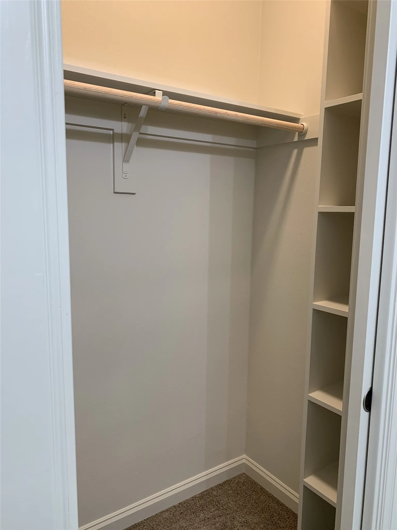 Walk-in closet featuring built-in shelving, a natural wood-finish hanging rod, and carpet flooring