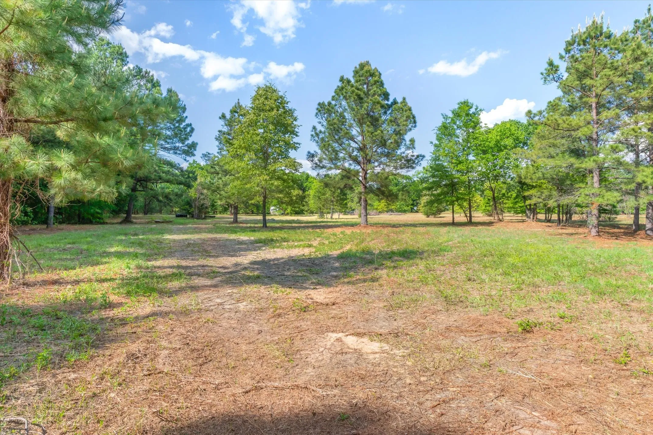 Unimproved Land For Sale in Wood County , 00 Hwy 69, Alba, Texas 75410, 0, 0, Garage spaces, 0 Sqft, built in 0, Price $165,000, mls#21240113, Real Estate Agent in Alba, Homes For Sale in Wood county, Homes For Sale in Alba, Realtor in Alba Texas, Real Estate Brokerage Independent Realty Texas, Luminita Cordes Realtor