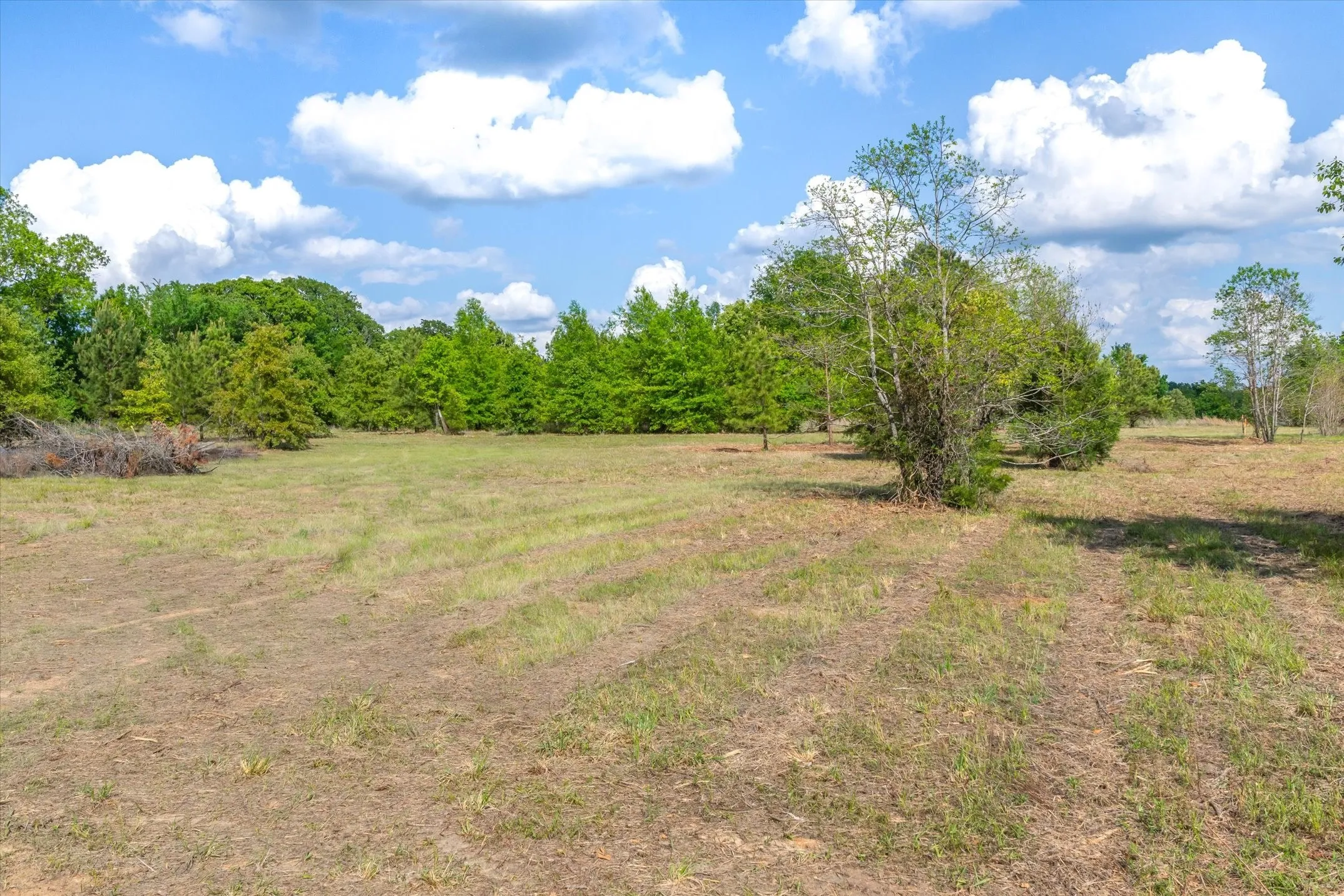 Unimproved Land For Sale in Wood County , 00 Hwy 69, Alba, Texas 75410, 0, 0, Garage spaces, 0 Sqft, built in 0, Price $165,000, mls#21240113, Real Estate Agent in Alba, Homes For Sale in Wood county, Homes For Sale in Alba, Realtor in Alba Texas, Real Estate Brokerage Independent Realty Texas, Luminita Cordes Realtor