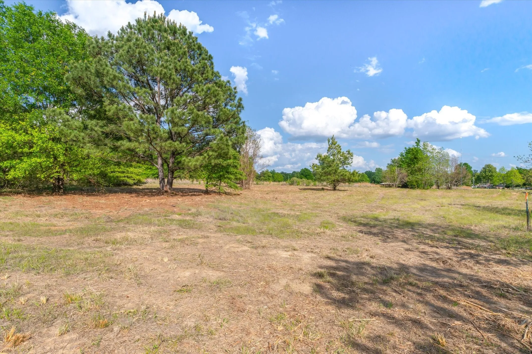 Unimproved Land For Sale in Wood County , 00 Hwy 69, Alba, Texas 75410, 0, 0, Garage spaces, 0 Sqft, built in 0, Price $165,000, mls#21240113, Real Estate Agent in Alba, Homes For Sale in Wood county, Homes For Sale in Alba, Realtor in Alba Texas, Real Estate Brokerage Independent Realty Texas, Luminita Cordes Realtor