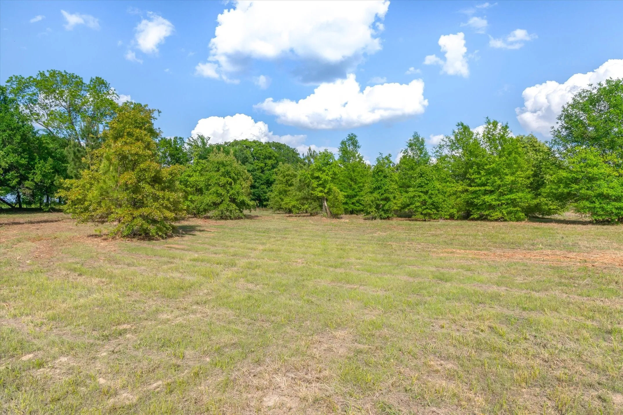 Unimproved Land For Sale in Wood County , 00 Hwy 69, Alba, Texas 75410, 0, 0, Garage spaces, 0 Sqft, built in 0, Price $165,000, mls#21240113, Real Estate Agent in Alba, Homes For Sale in Wood county, Homes For Sale in Alba, Realtor in Alba Texas, Real Estate Brokerage Independent Realty Texas, Luminita Cordes Realtor