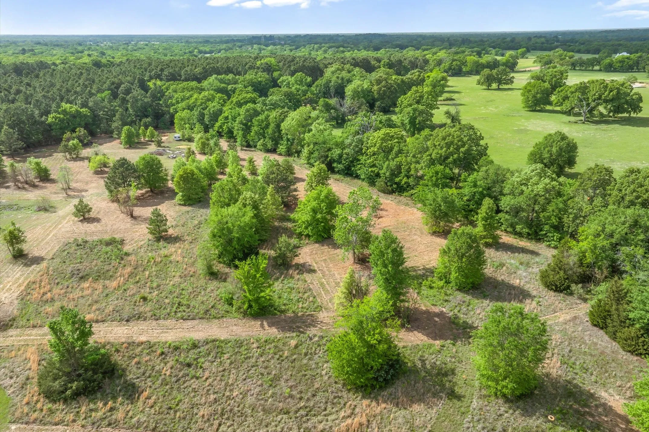 Unimproved Land For Sale in Wood County , 00 Hwy 69, Alba, Texas 75410, 0, 0, Garage spaces, 0 Sqft, built in 0, Price $165,000, mls#21240113, Real Estate Agent in Alba, Homes For Sale in Wood county, Homes For Sale in Alba, Realtor in Alba Texas, Real Estate Brokerage Independent Realty Texas, Luminita Cordes Realtor