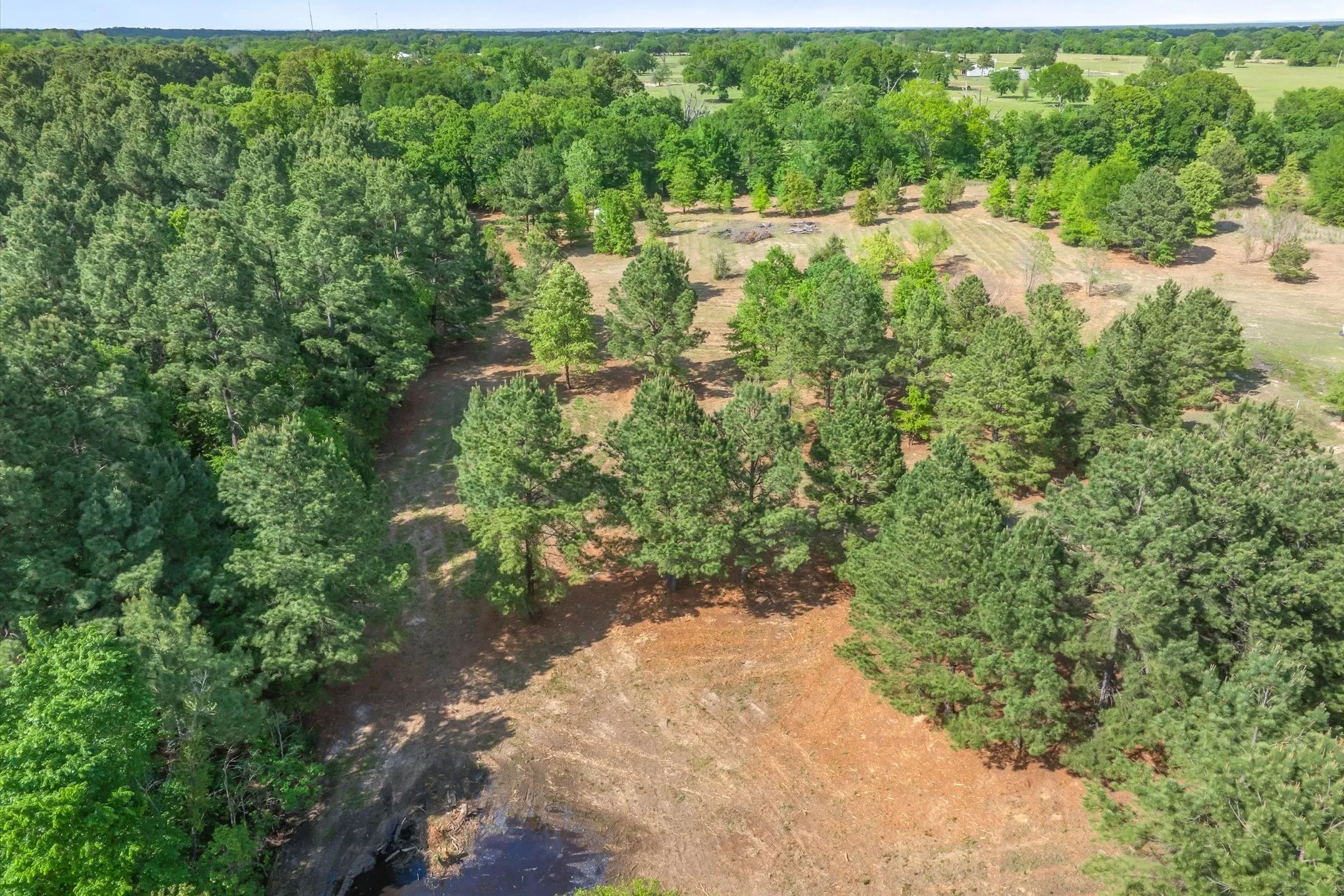 Unimproved Land For Sale in Wood County , 00 Hwy 69, Alba, Texas 75410, 0, 0, Garage spaces, 0 Sqft, built in 0, Price $165,000, mls#21240113, Real Estate Agent in Alba, Homes For Sale in Wood county, Homes For Sale in Alba, Realtor in Alba Texas, Real Estate Brokerage Independent Realty Texas, Luminita Cordes Realtor