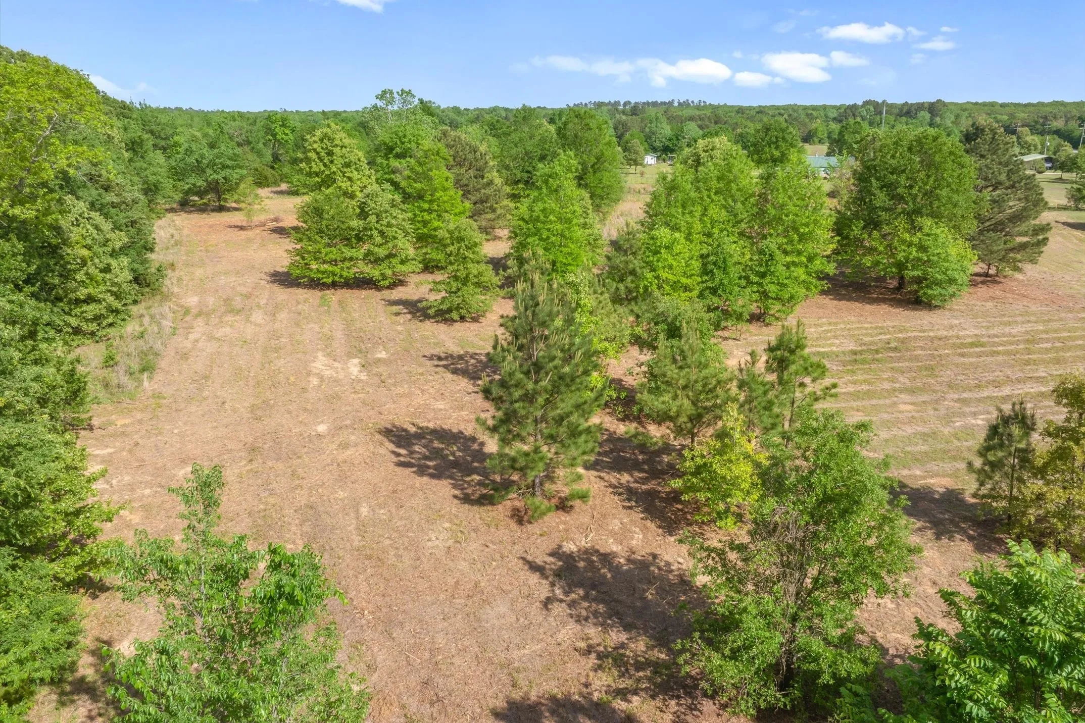 Unimproved Land For Sale in Wood County , 00 Hwy 69, Alba, Texas 75410, 0, 0, Garage spaces, 0 Sqft, built in 0, Price $165,000, mls#21240113, Real Estate Agent in Alba, Homes For Sale in Wood county, Homes For Sale in Alba, Realtor in Alba Texas, Real Estate Brokerage Independent Realty Texas, Luminita Cordes Realtor